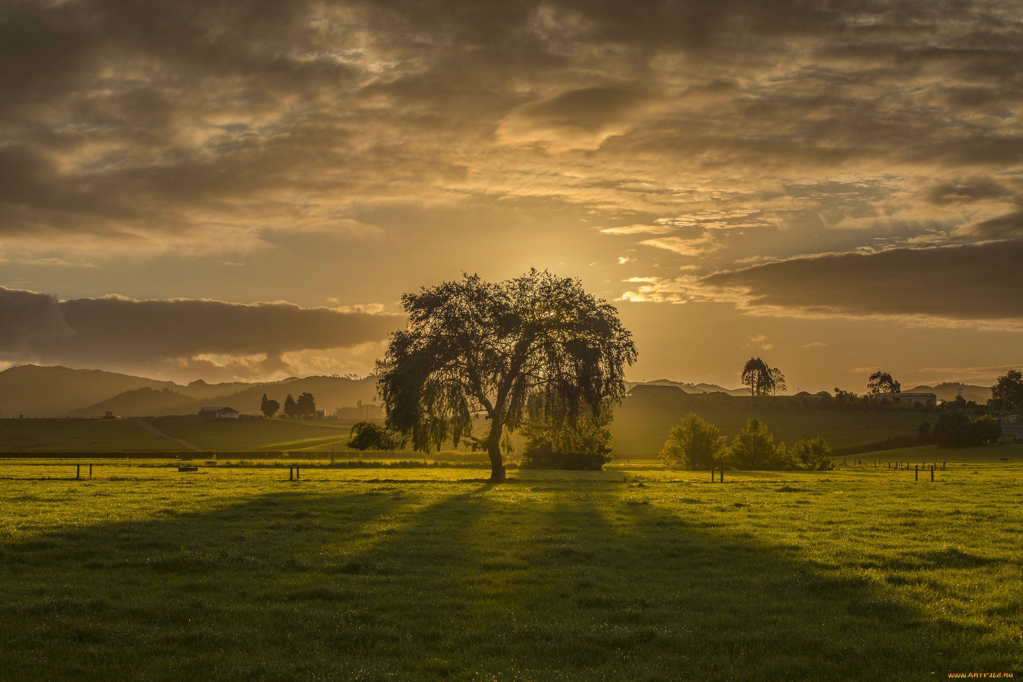 природа, пейзажи, простор