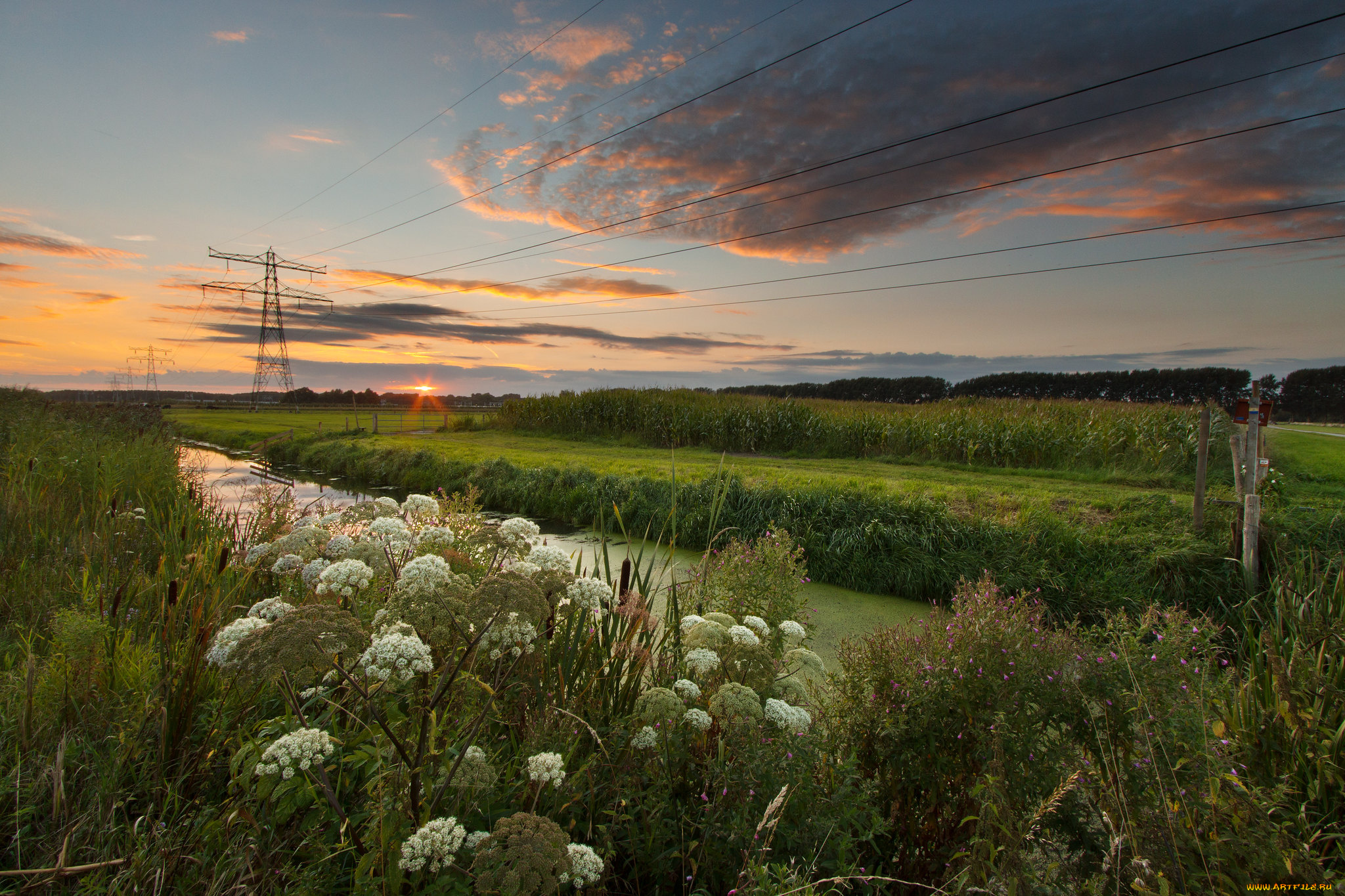 природа, пейзажи, простор