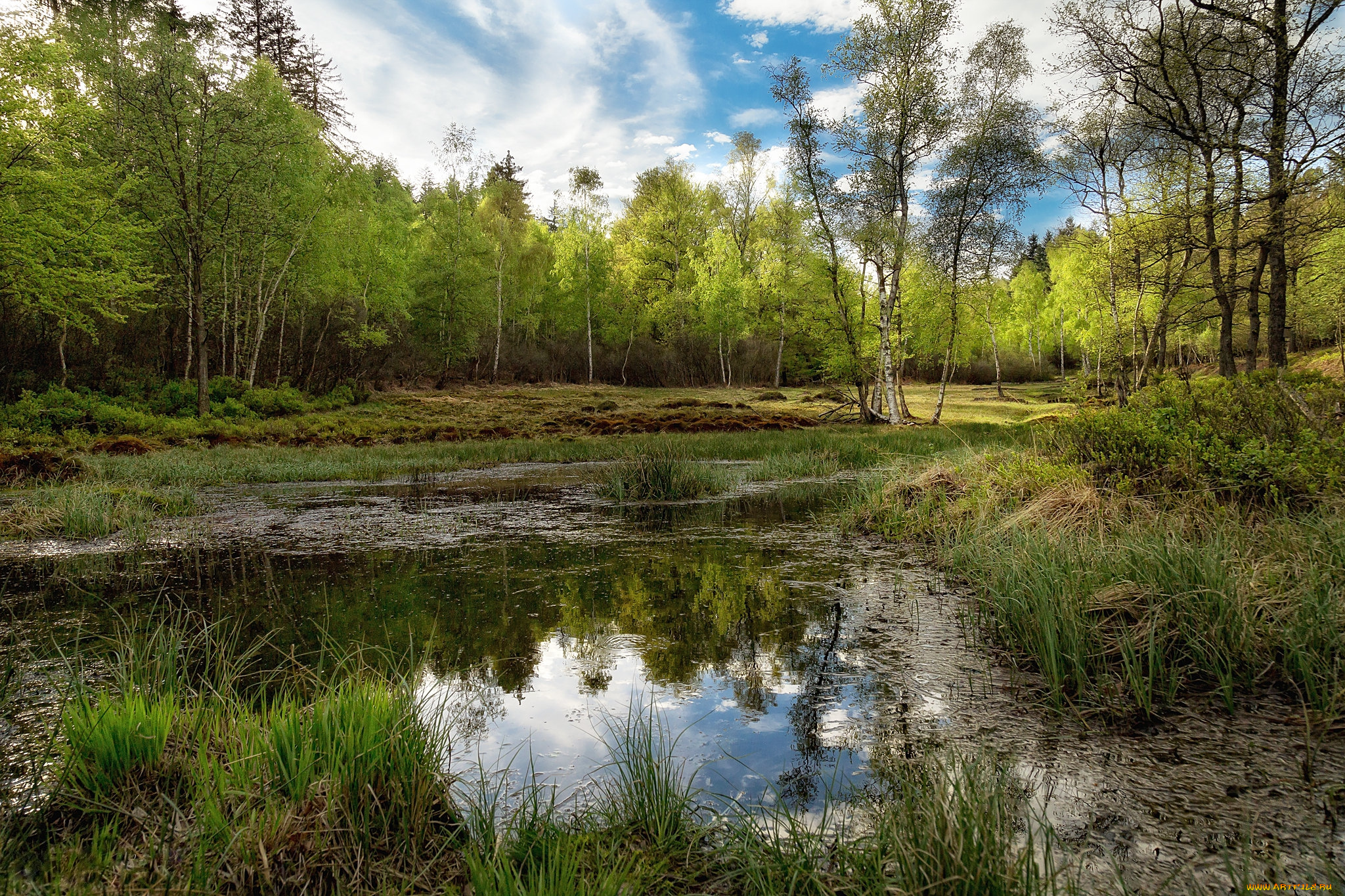 природа, реки, озера, простор