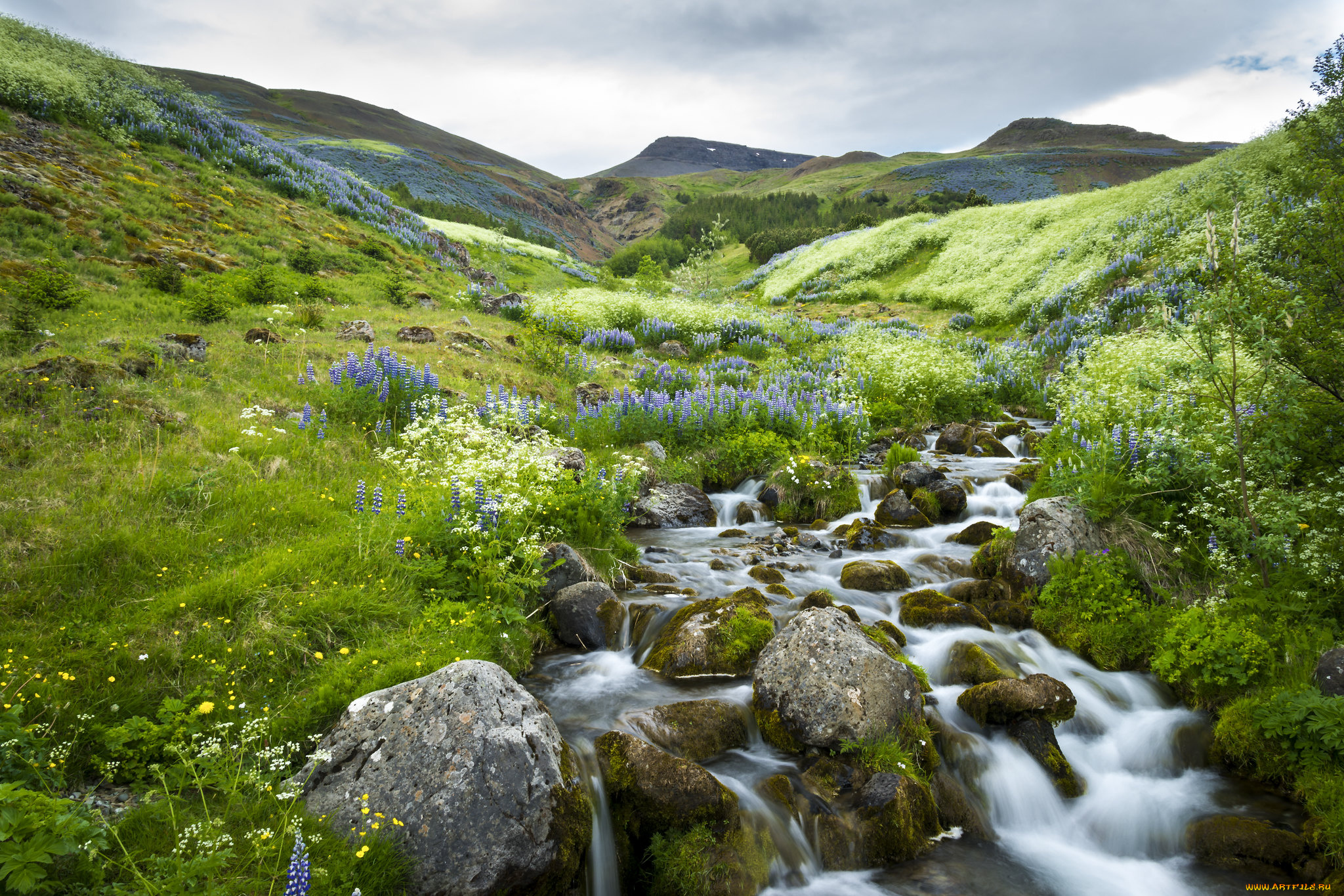 природа, реки, озера, простор