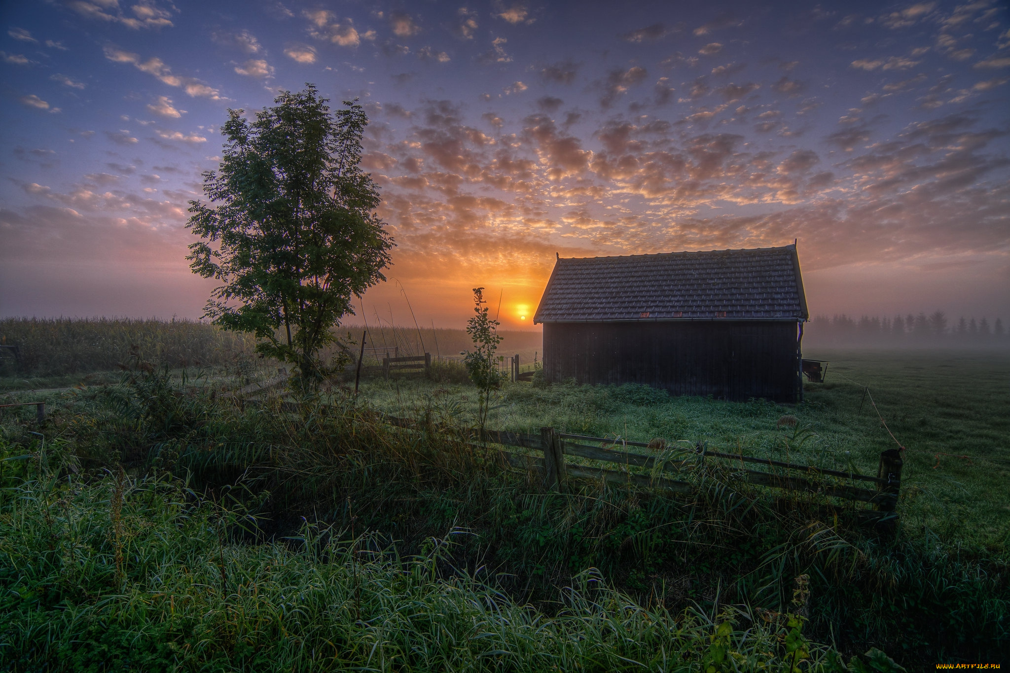 природа, восходы, закаты, простор