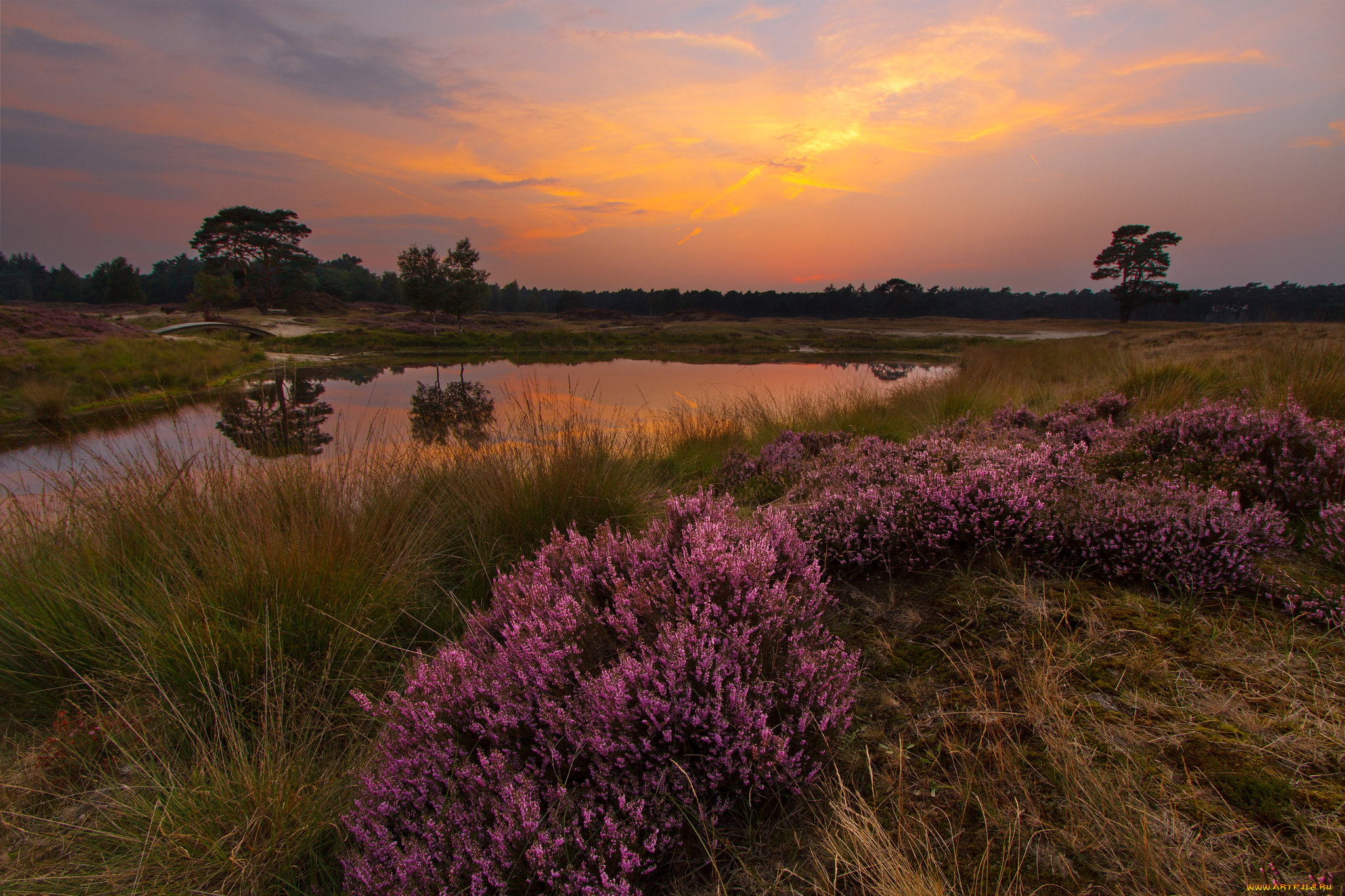 природа, восходы, закаты, простор