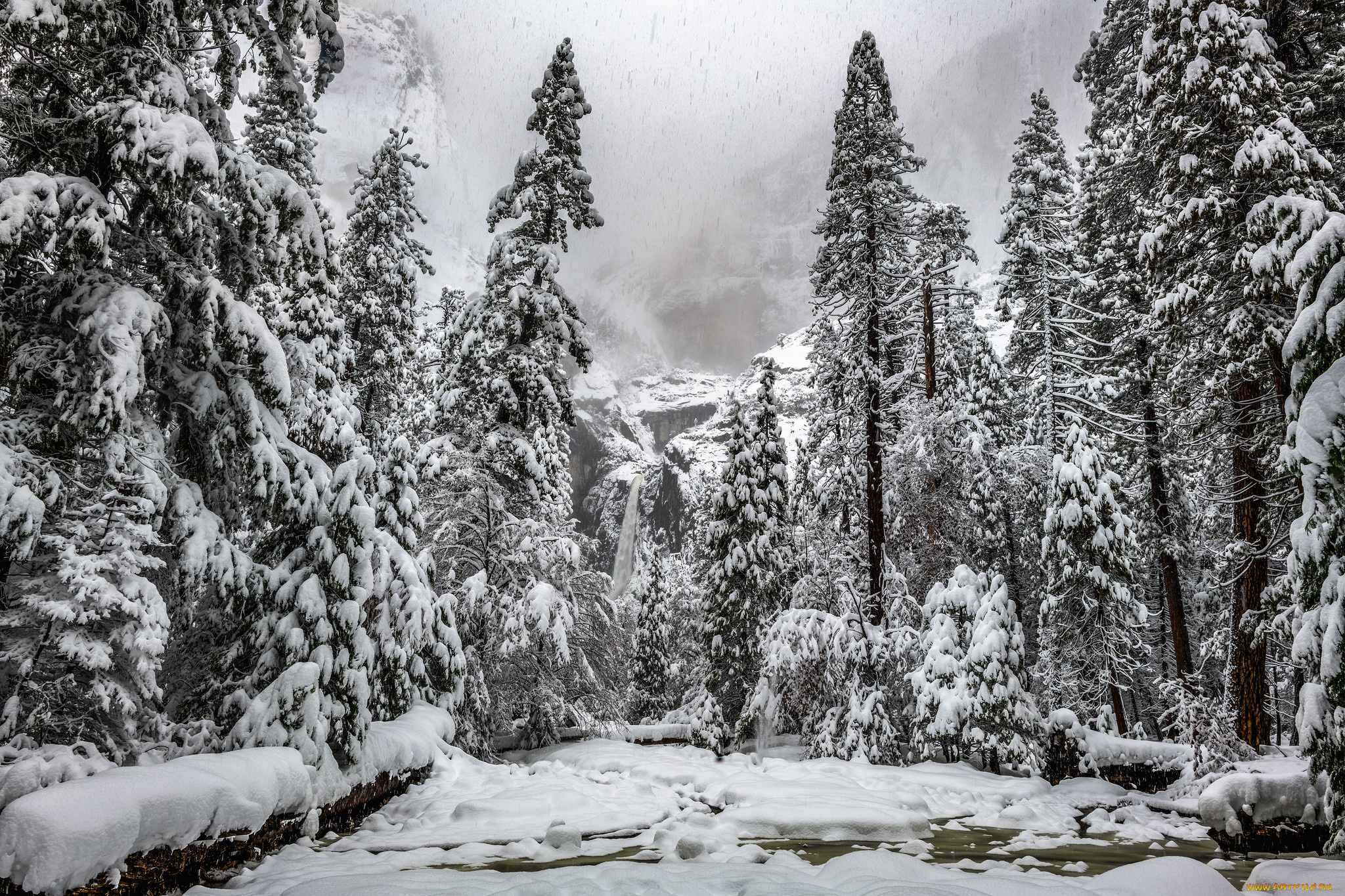 природа, зима, простор