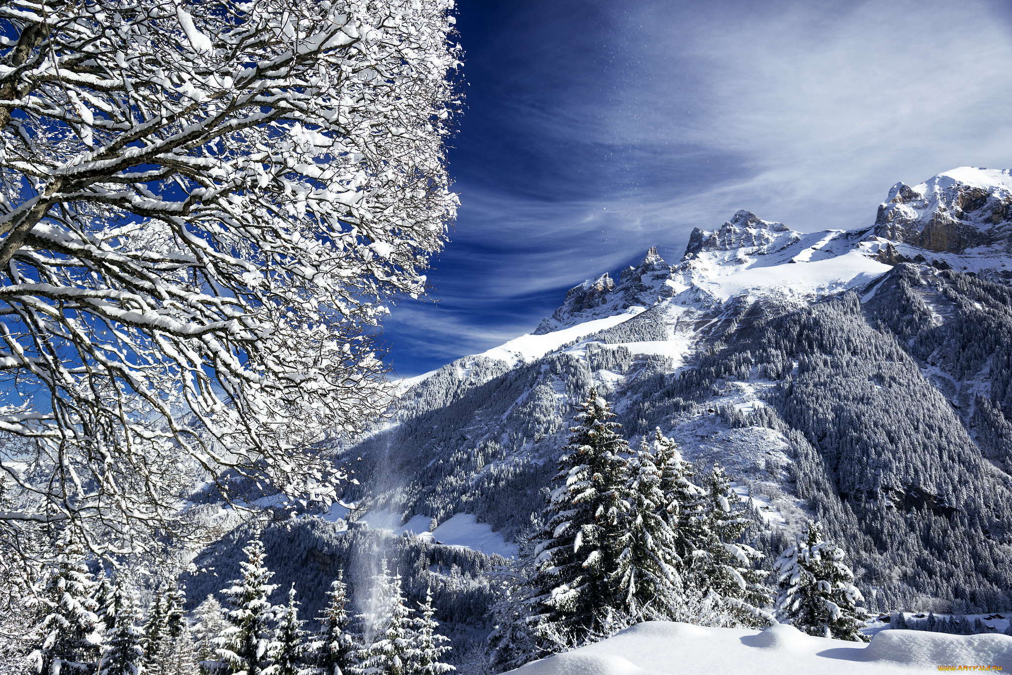 природа, зима, простор