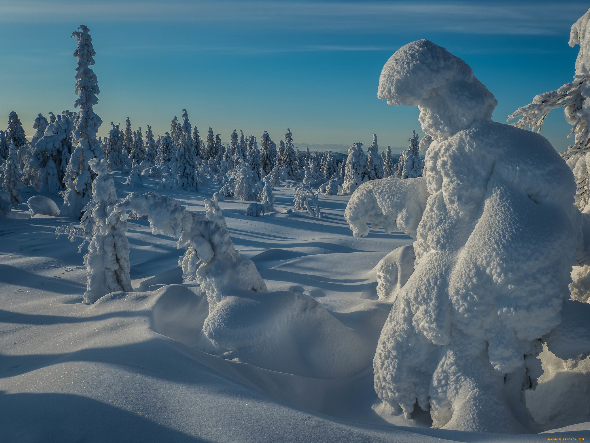 природа, зима, простор