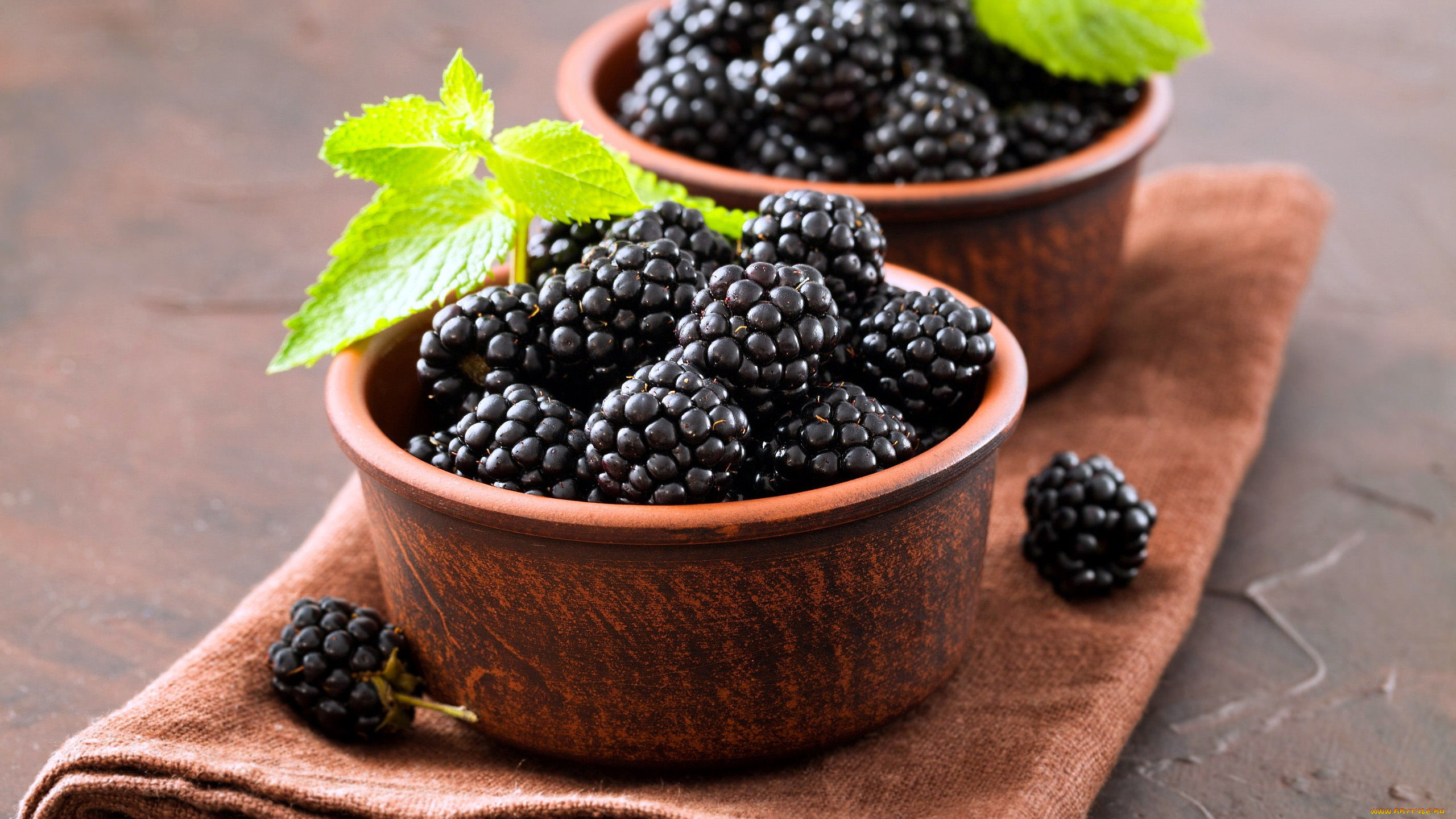 еда, ежевика, ягоды, мята