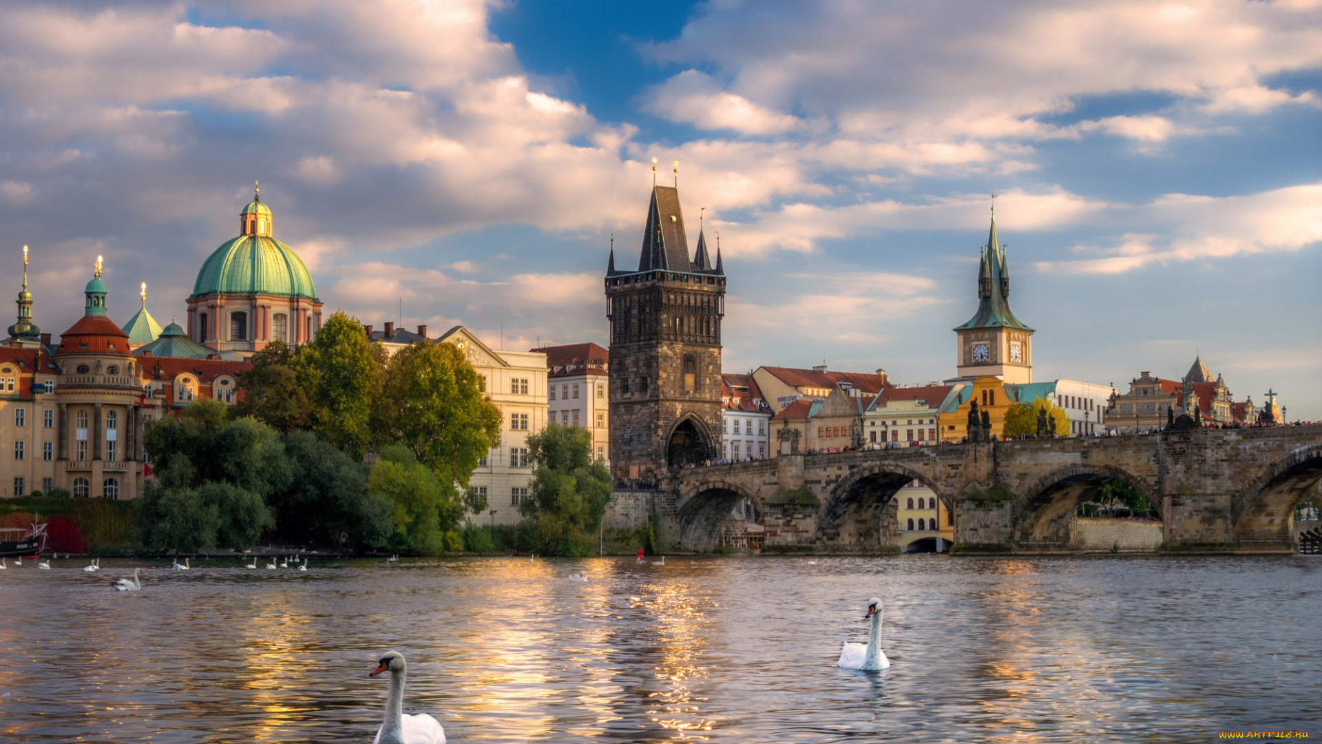 города, прага, , чехия, влтава, мост, лебеди