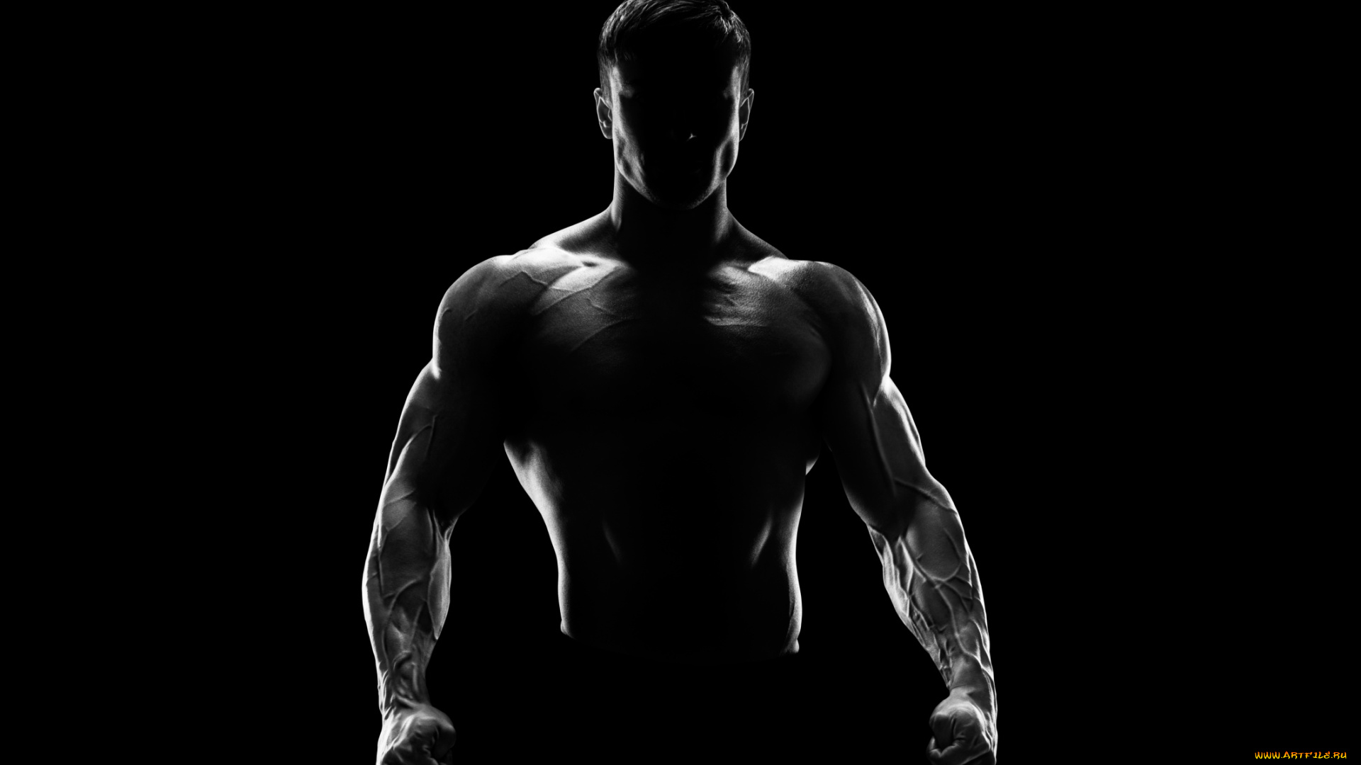 спорт, body, building, торс, силуэт, мужчина, фитнес, мотивация