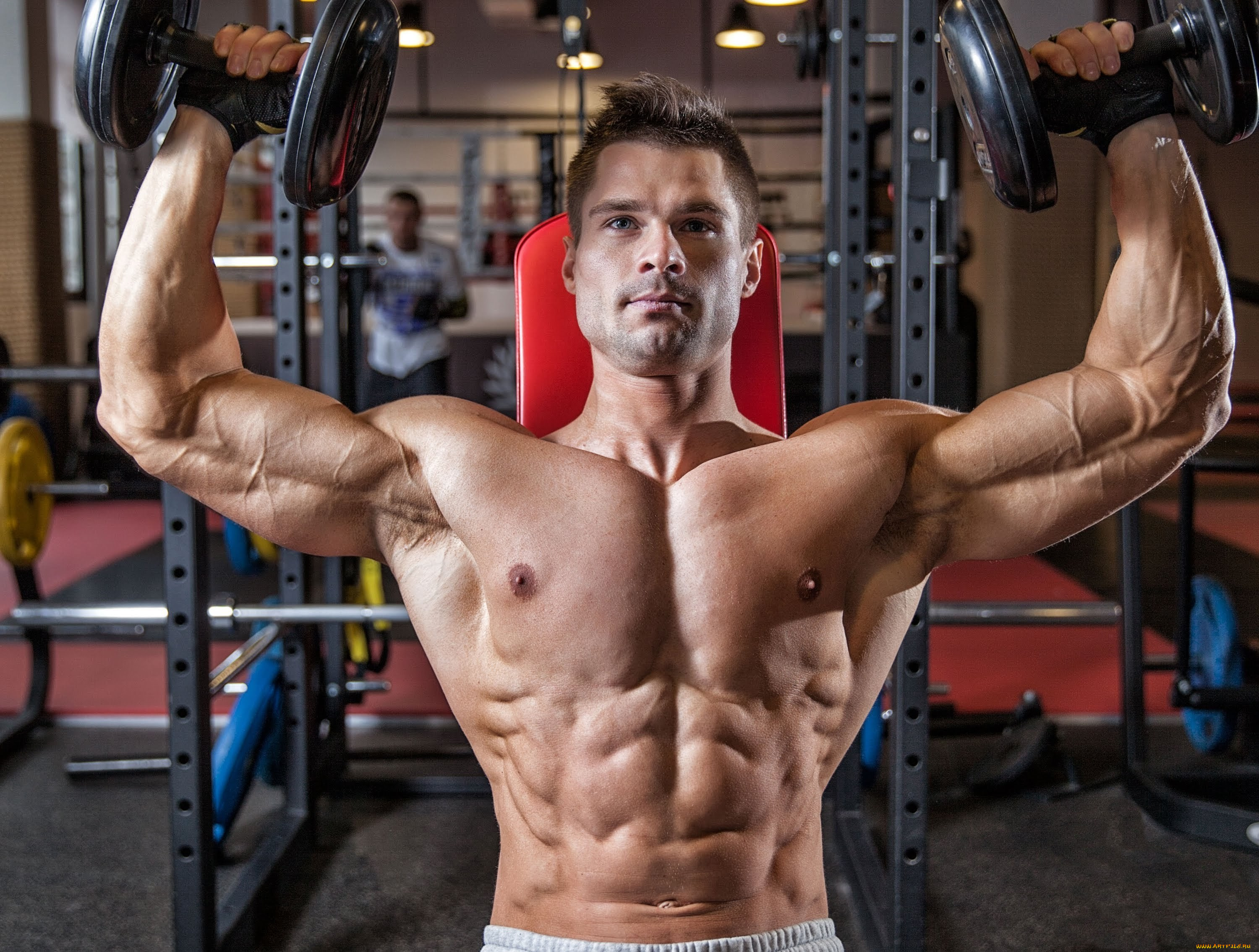 спорт, body, building, гантели, бодибилдинг, тренировки, тренажерный, зал, денис, гусев, wallpapersgood