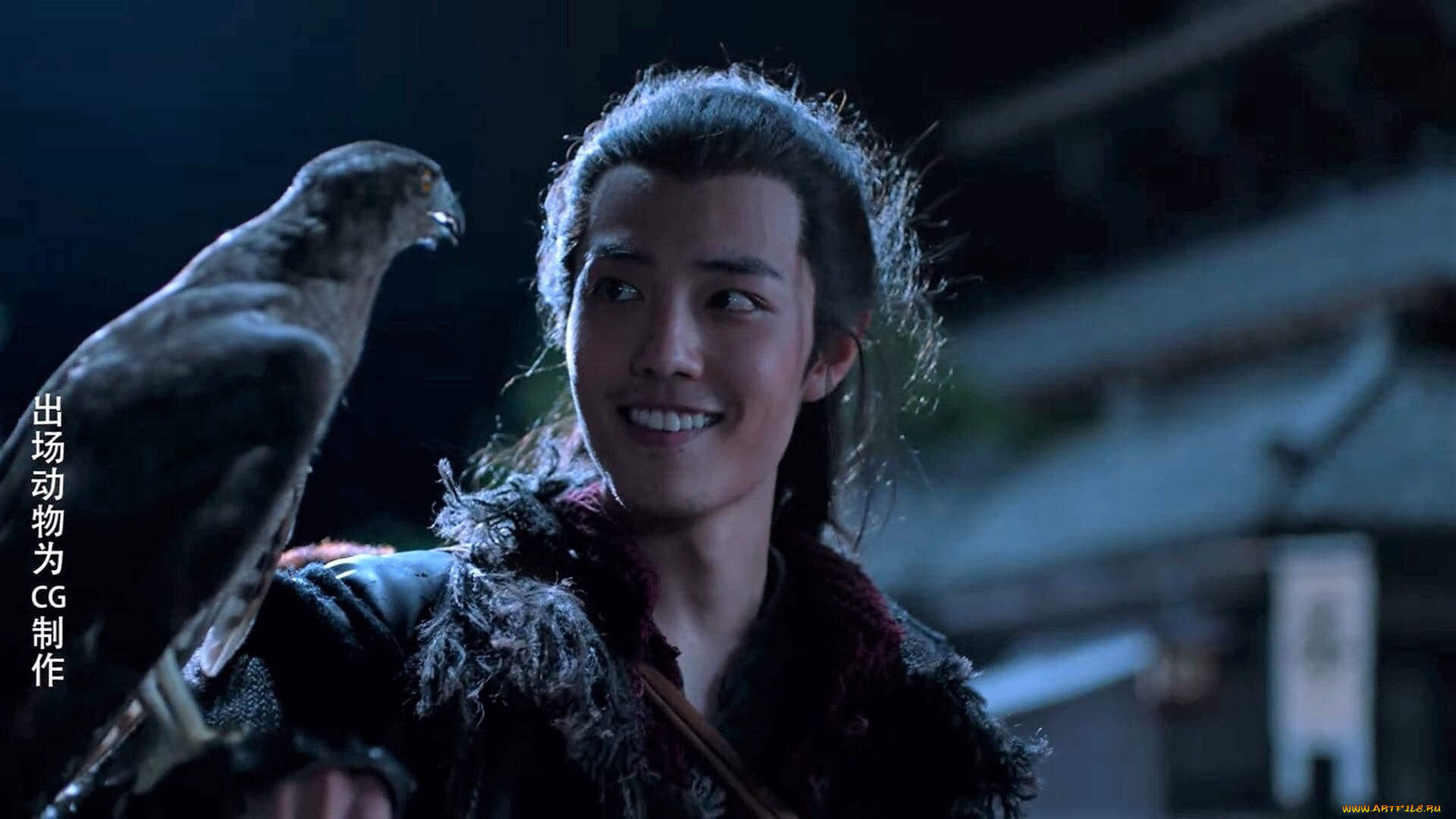 кино, фильмы, the, wolf, цзичун, птица