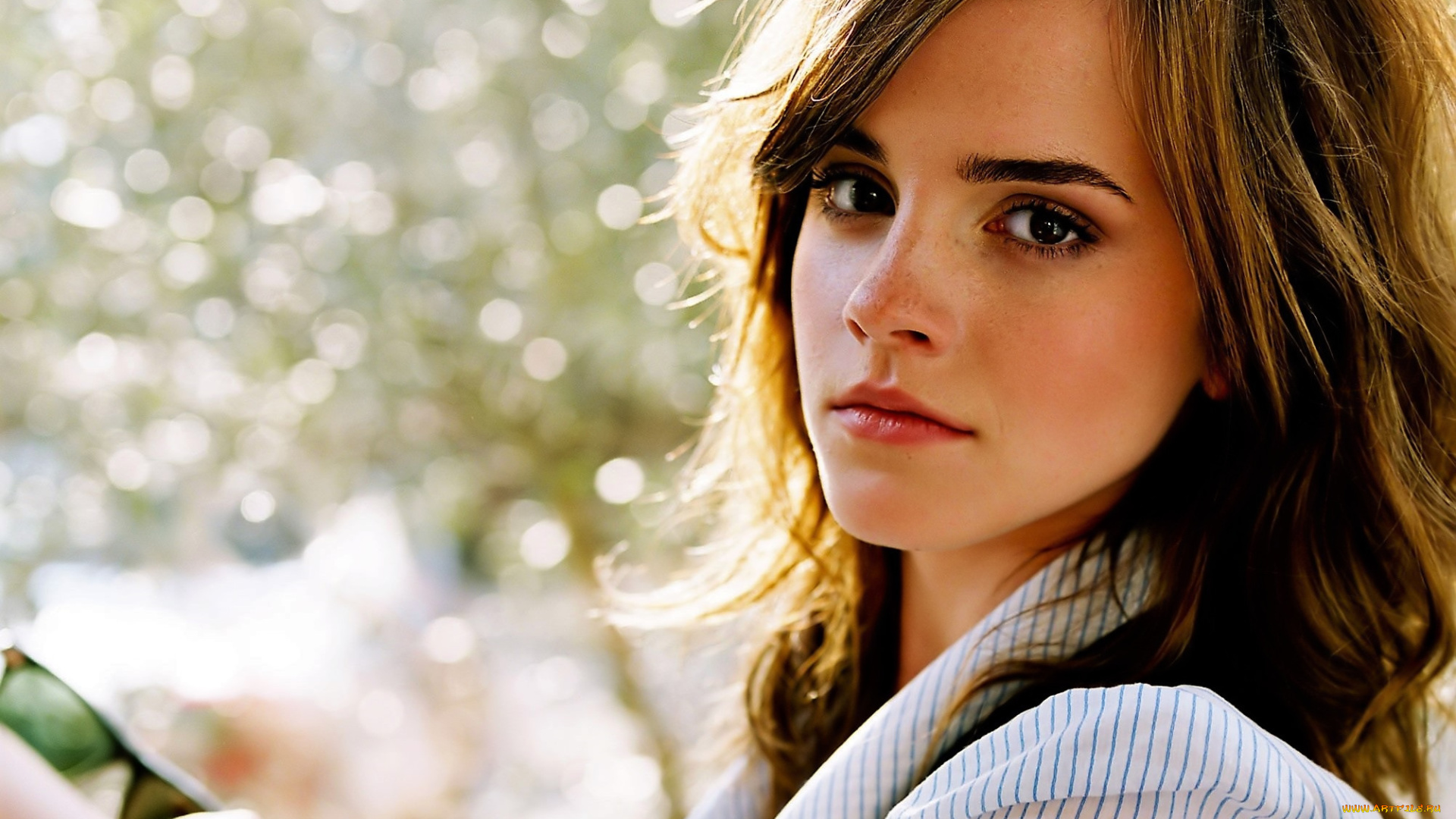 девушки, emma, watson, актриса, шатенка, лицо, блузка