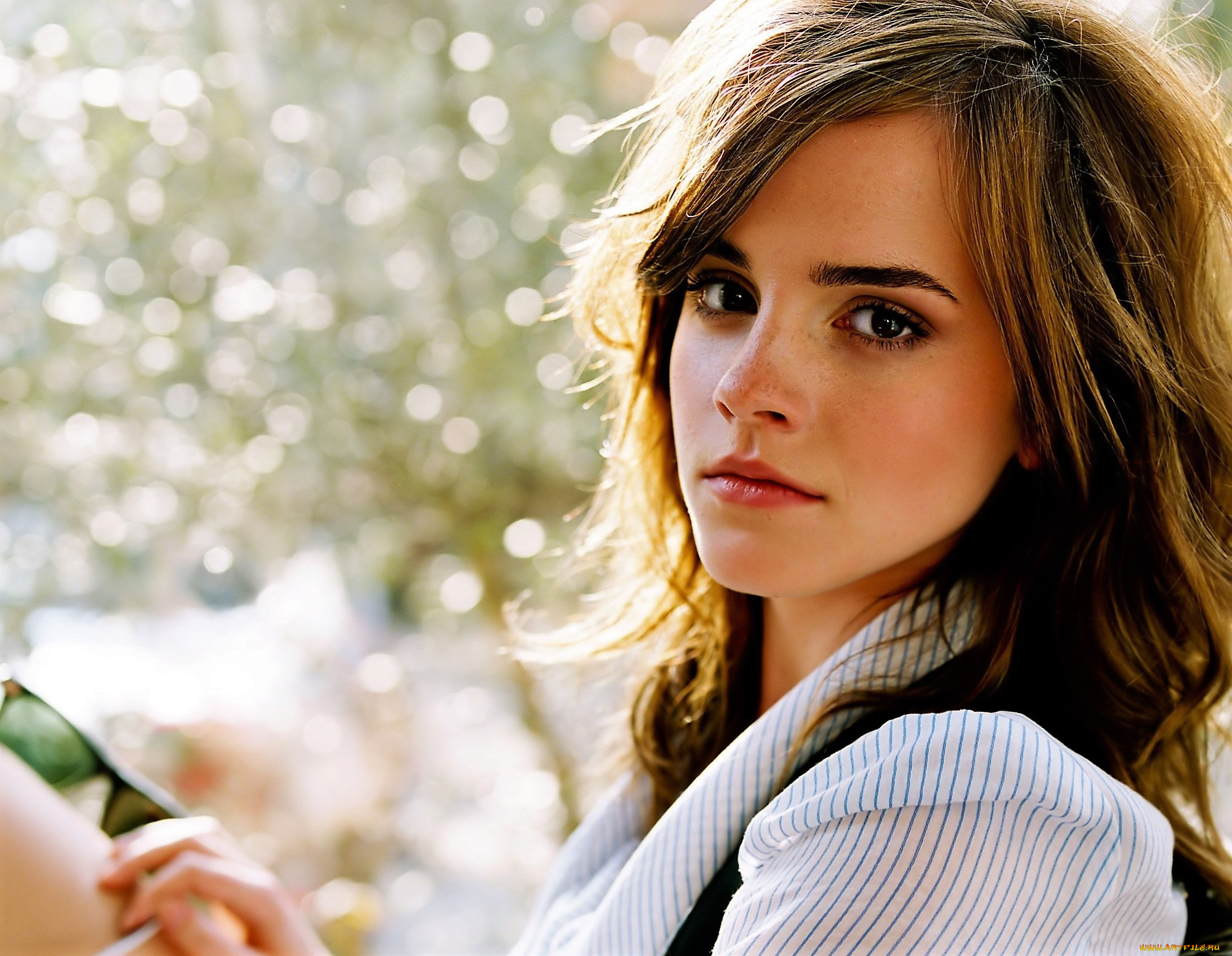 девушки, emma, watson, актриса, шатенка, лицо, блузка
