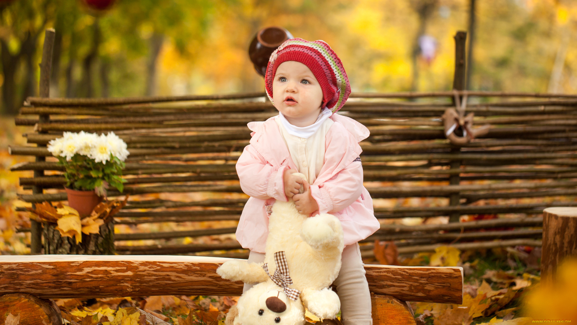 разное, дети, девочка, берет, мишка, изгородь, цветы