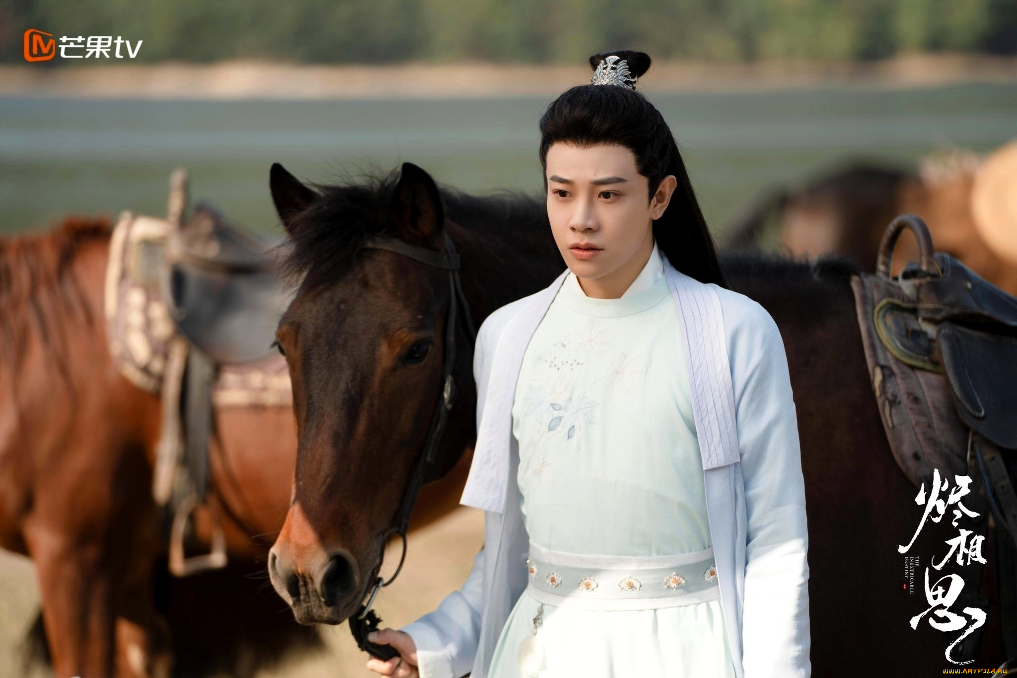 кино, фильмы, the, inextricable, destiny, парень, лошади