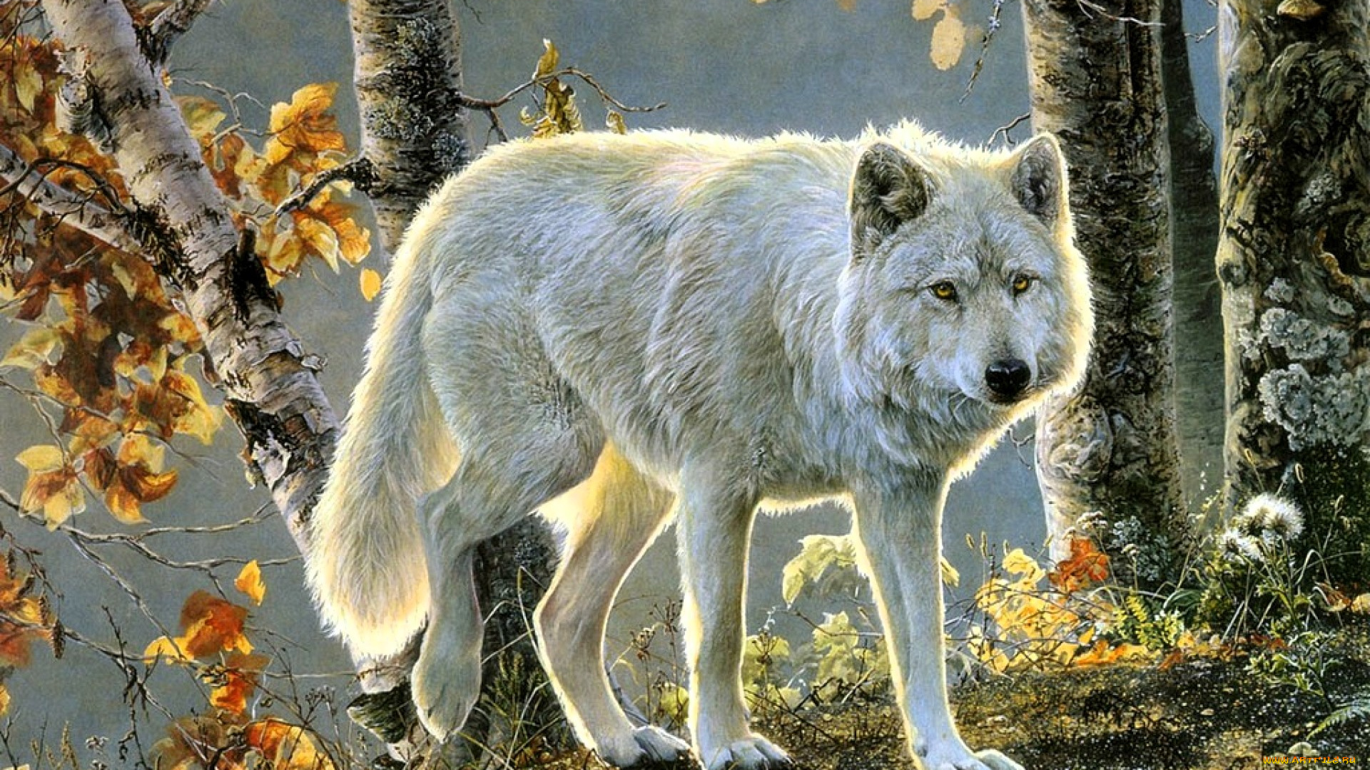 рисованное, животные, , волки, волк, белый, деревья, осень