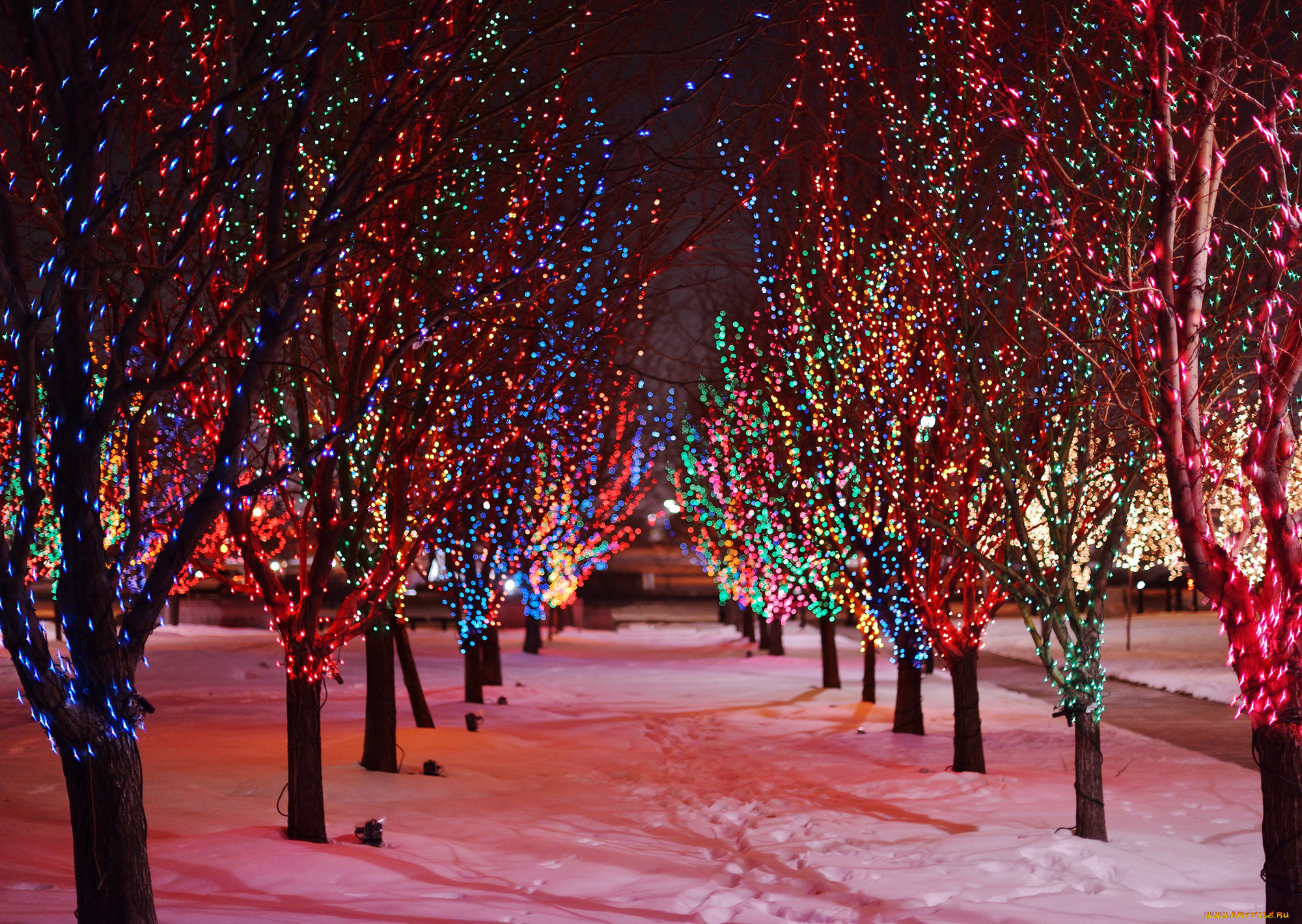 разное, иллюминация, пейзаж
