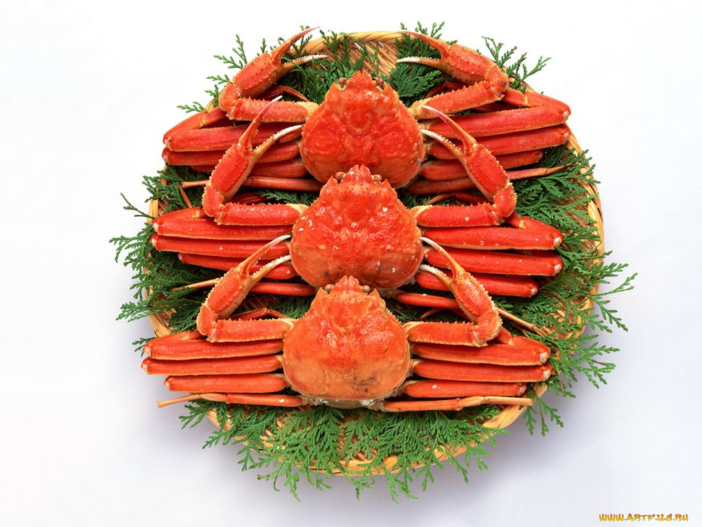 еда, рыба, морепродукты, суши, роллы