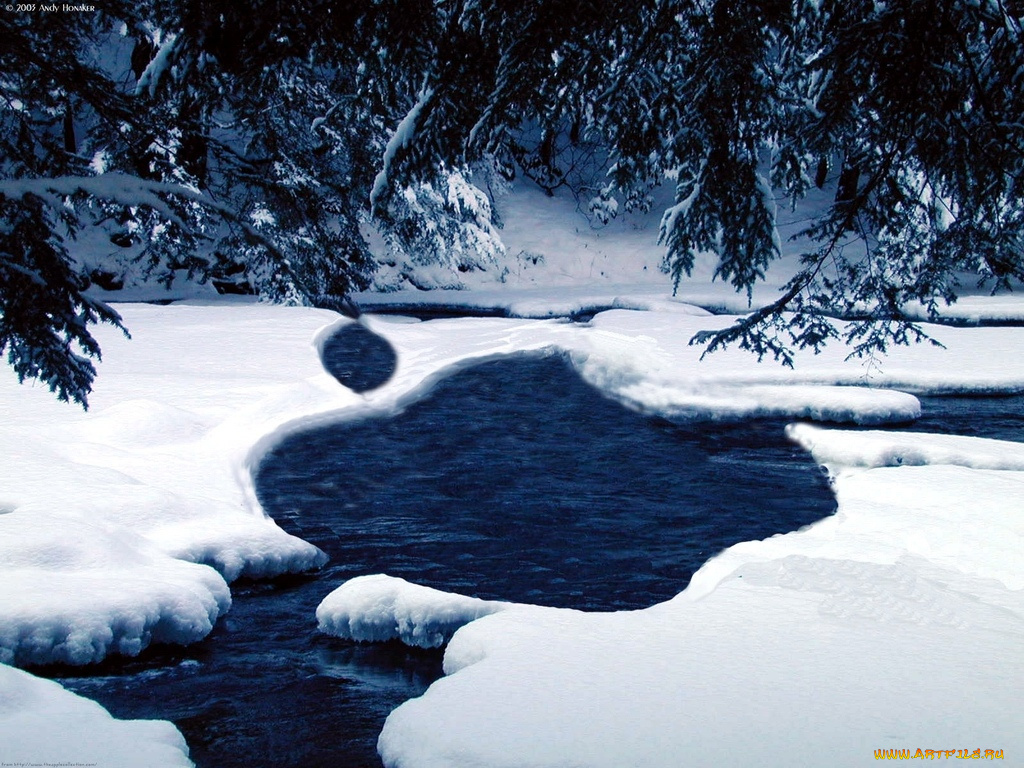 компьютеры, apple