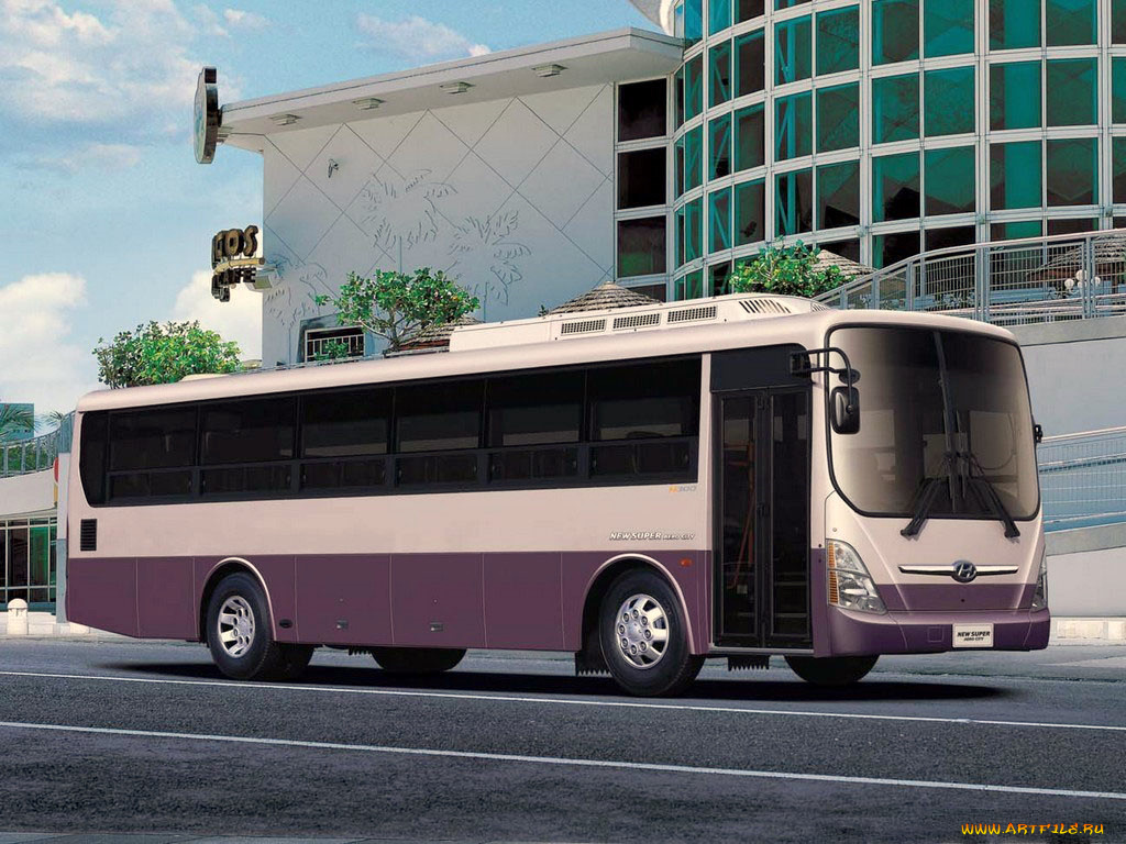 автомобили, автобусы