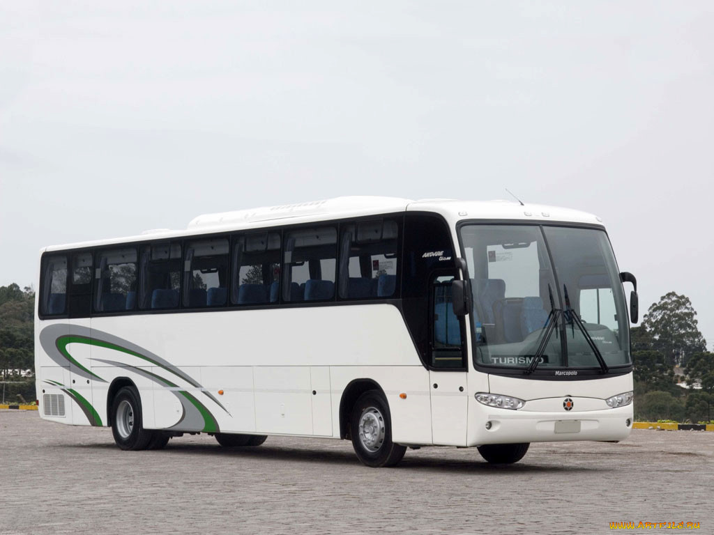 автомобили, автобусы