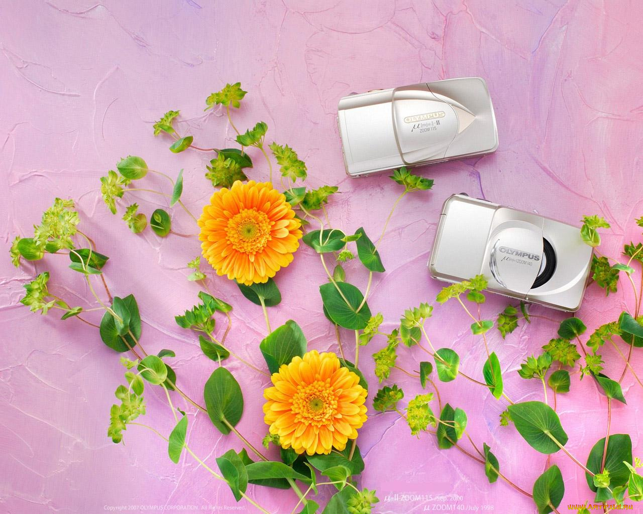 бренды, olympus