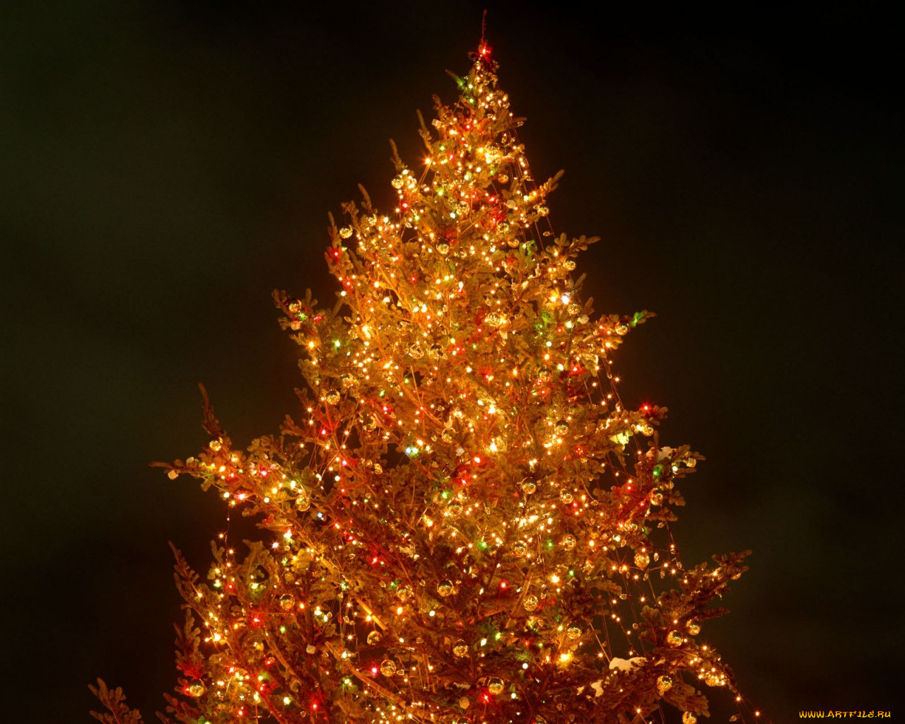 праздничные, Ёлки