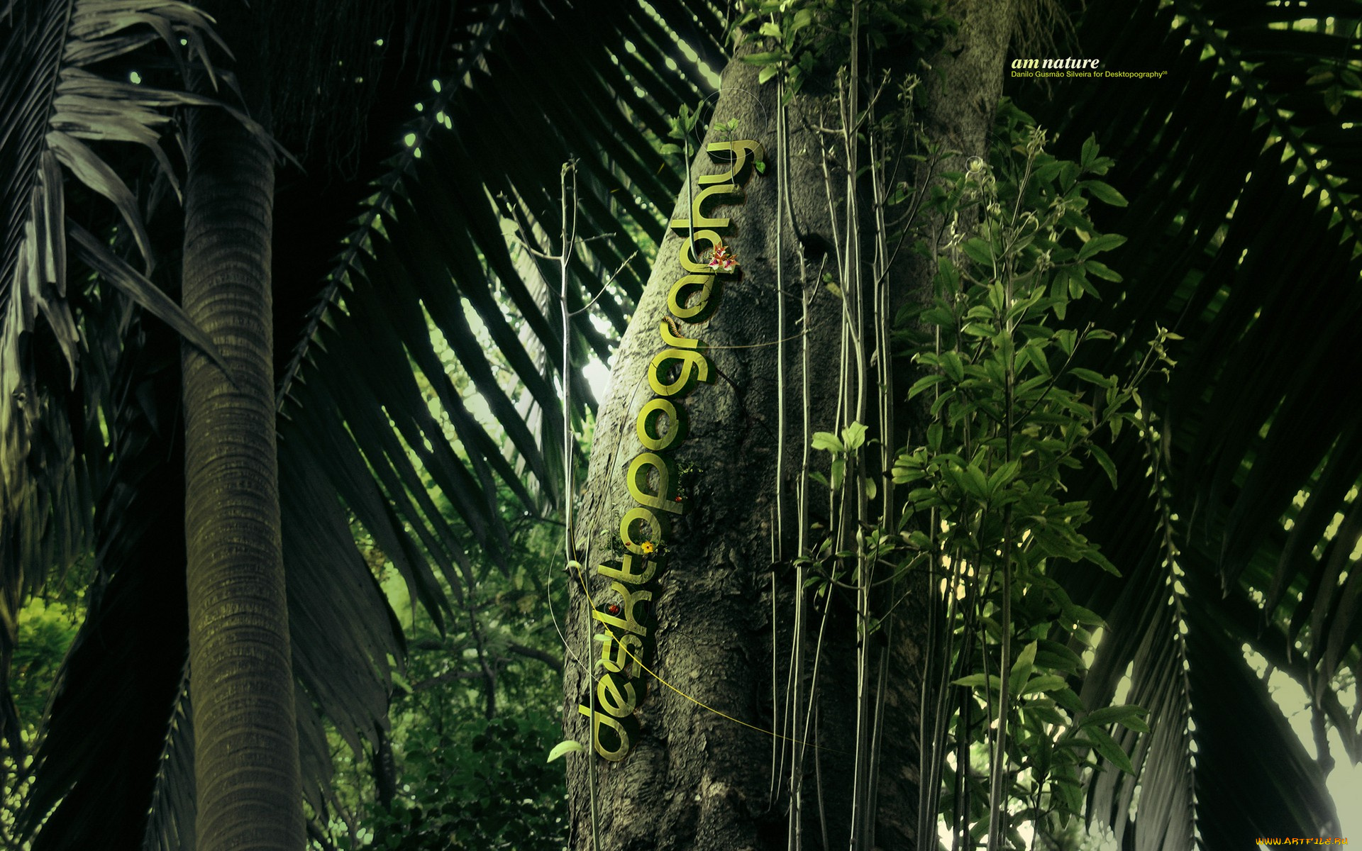 3д, графика, nature, landscape, природа