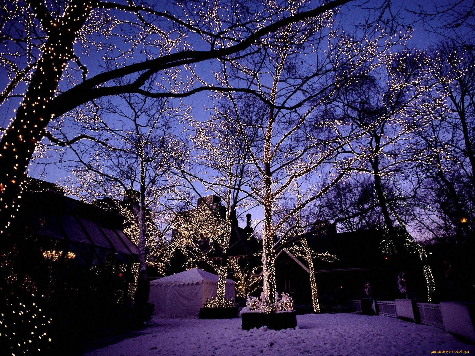 праздничные, новогодние, пейзажи