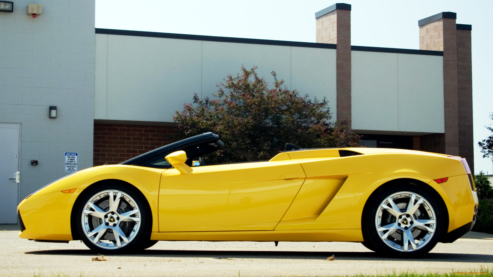 lamborghini, gallardo, автомобили, скорость, мощь, автомобиль, стиль