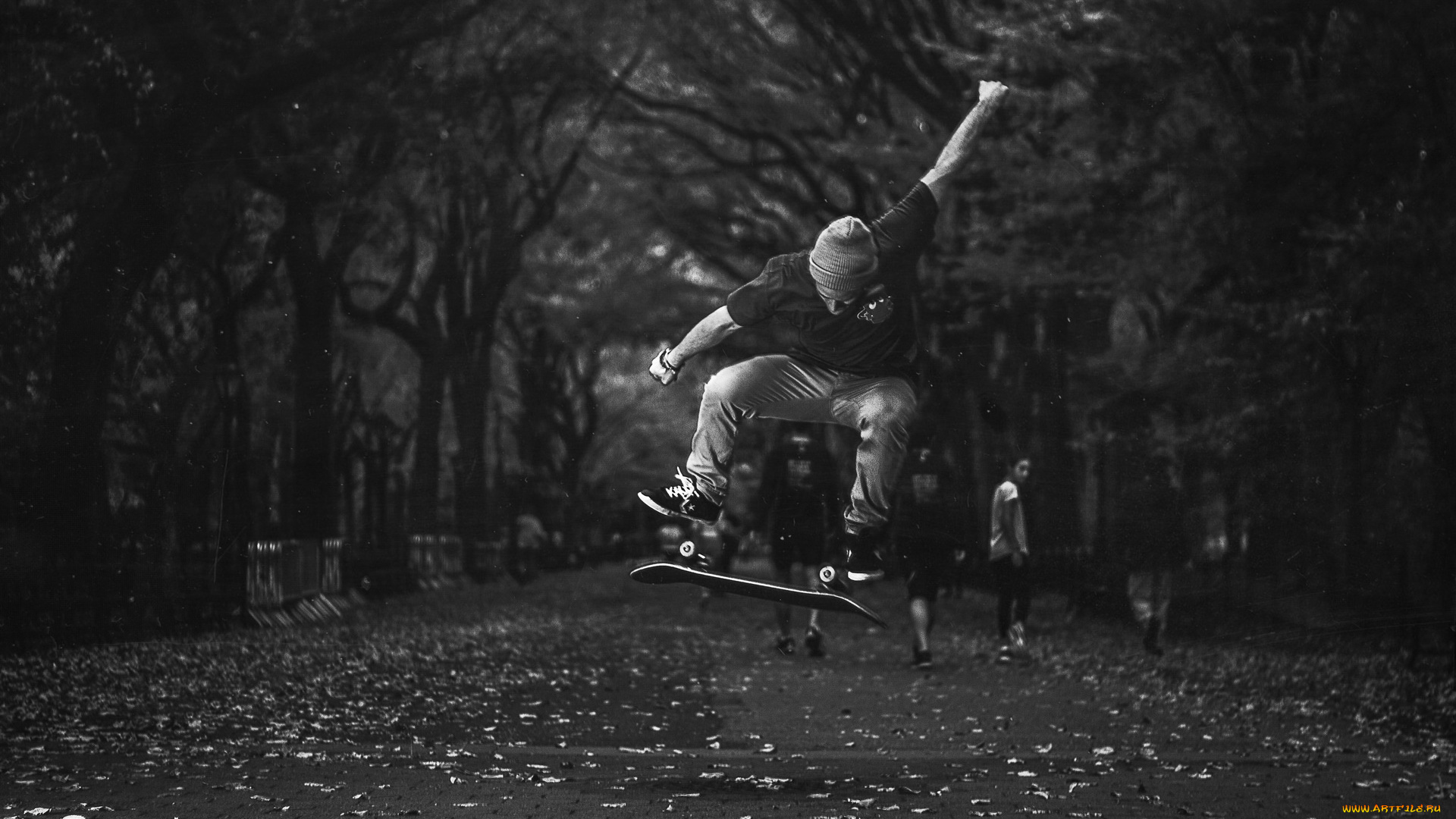 спорт, скейтборд