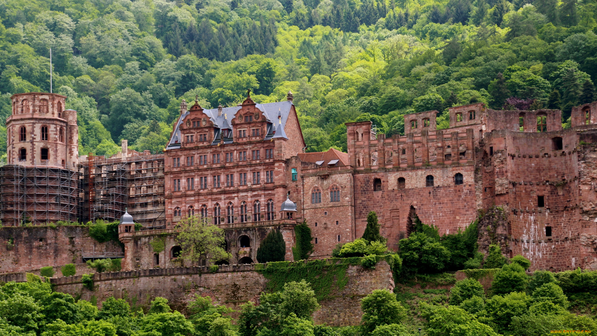замок, heidelberg, германия, города, гейдельберг