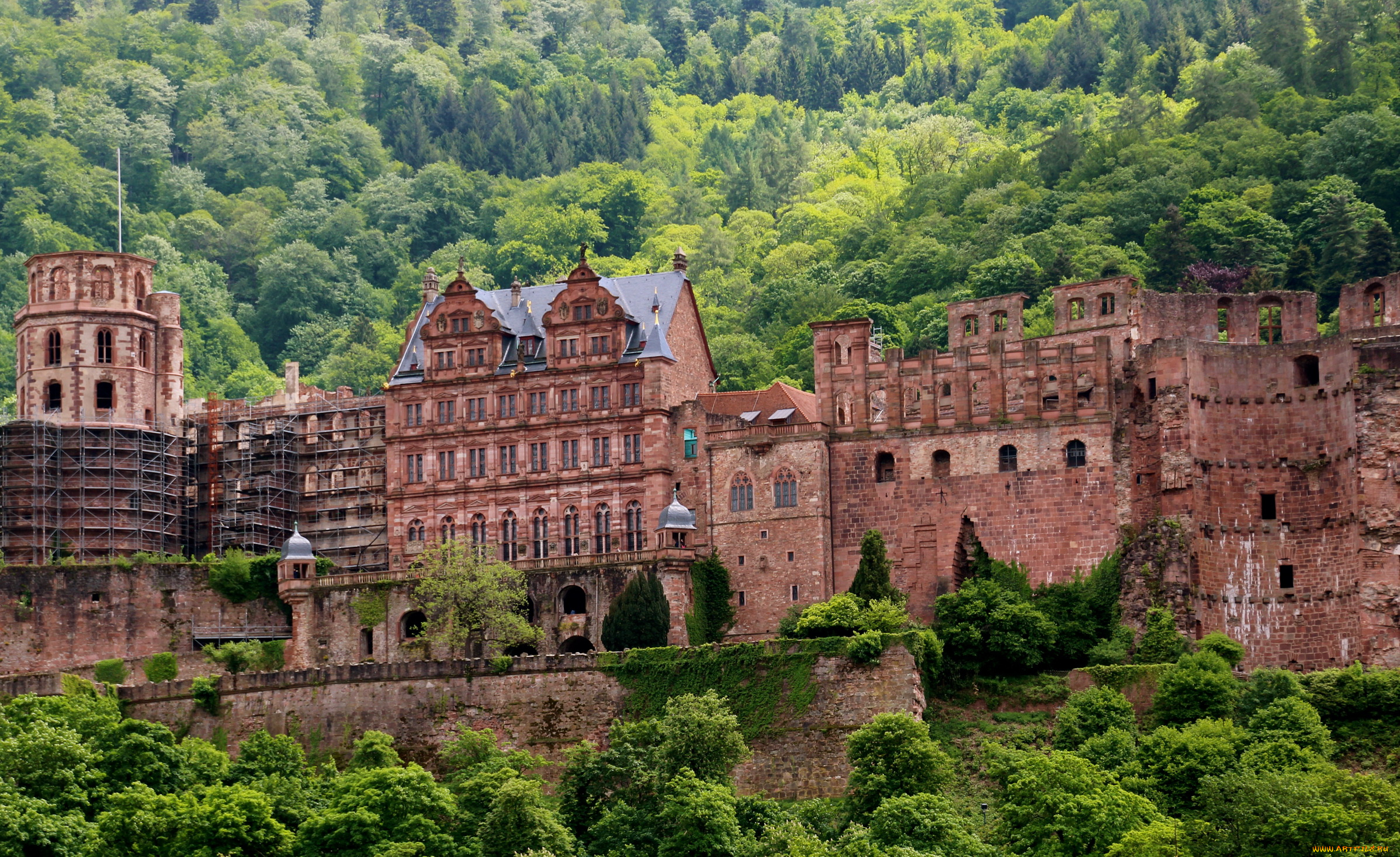 замок, heidelberg, германия, города, гейдельберг