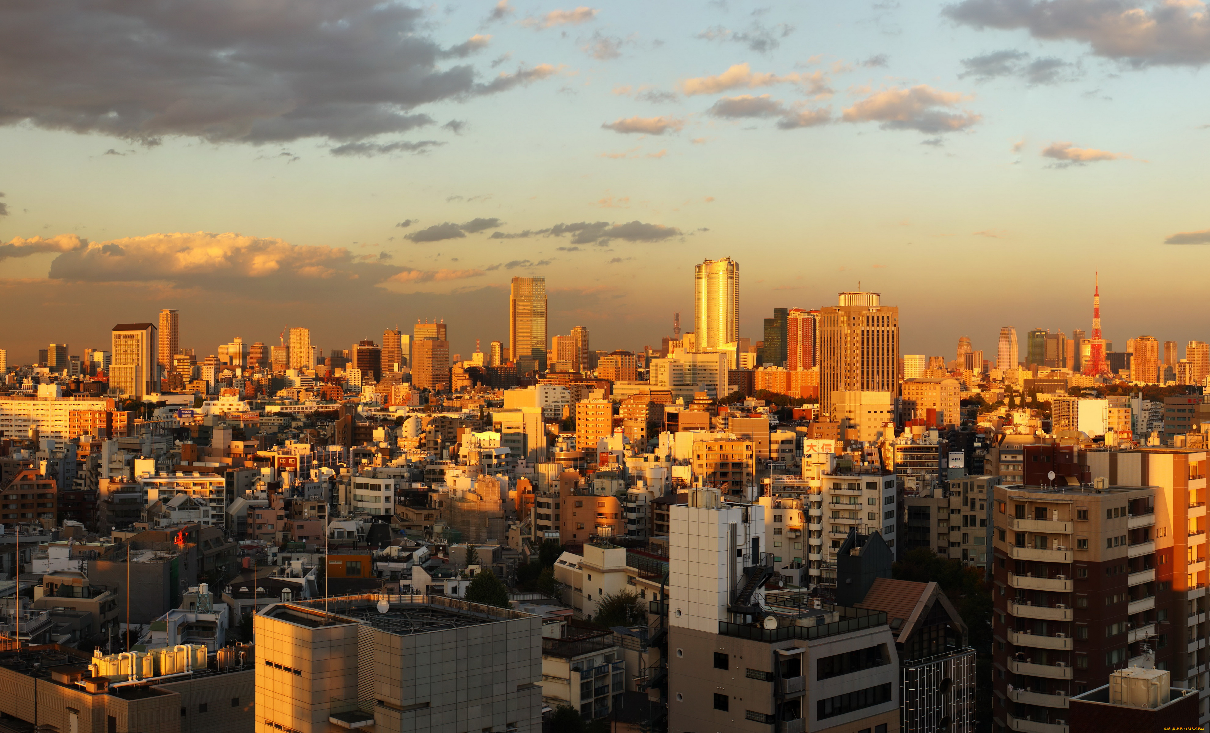 города, токио, Япония, панорама