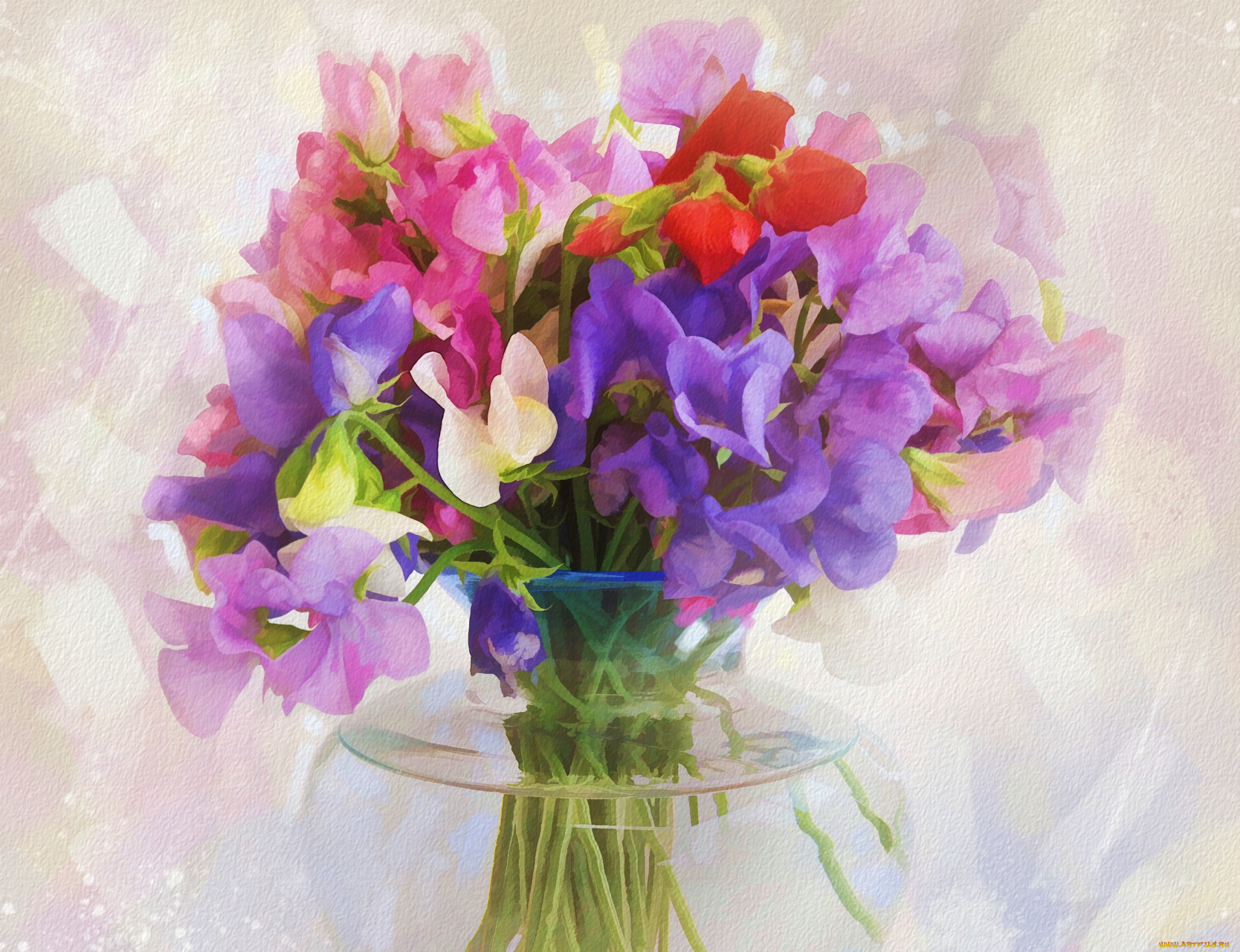 рисованные, цветы, душистый, горошек