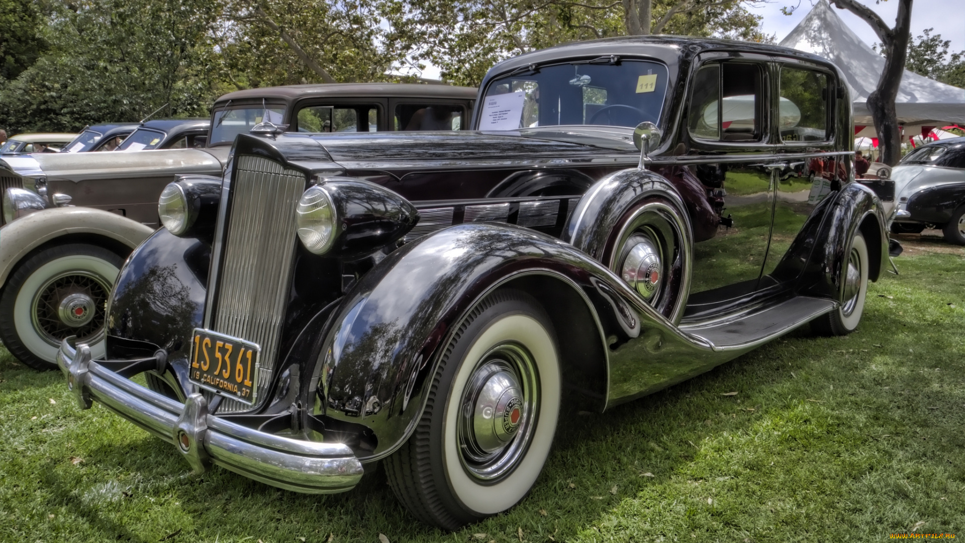 1937, packard, super, eight, автомобили, выставки, и, уличные, фото, выставка, автошоу