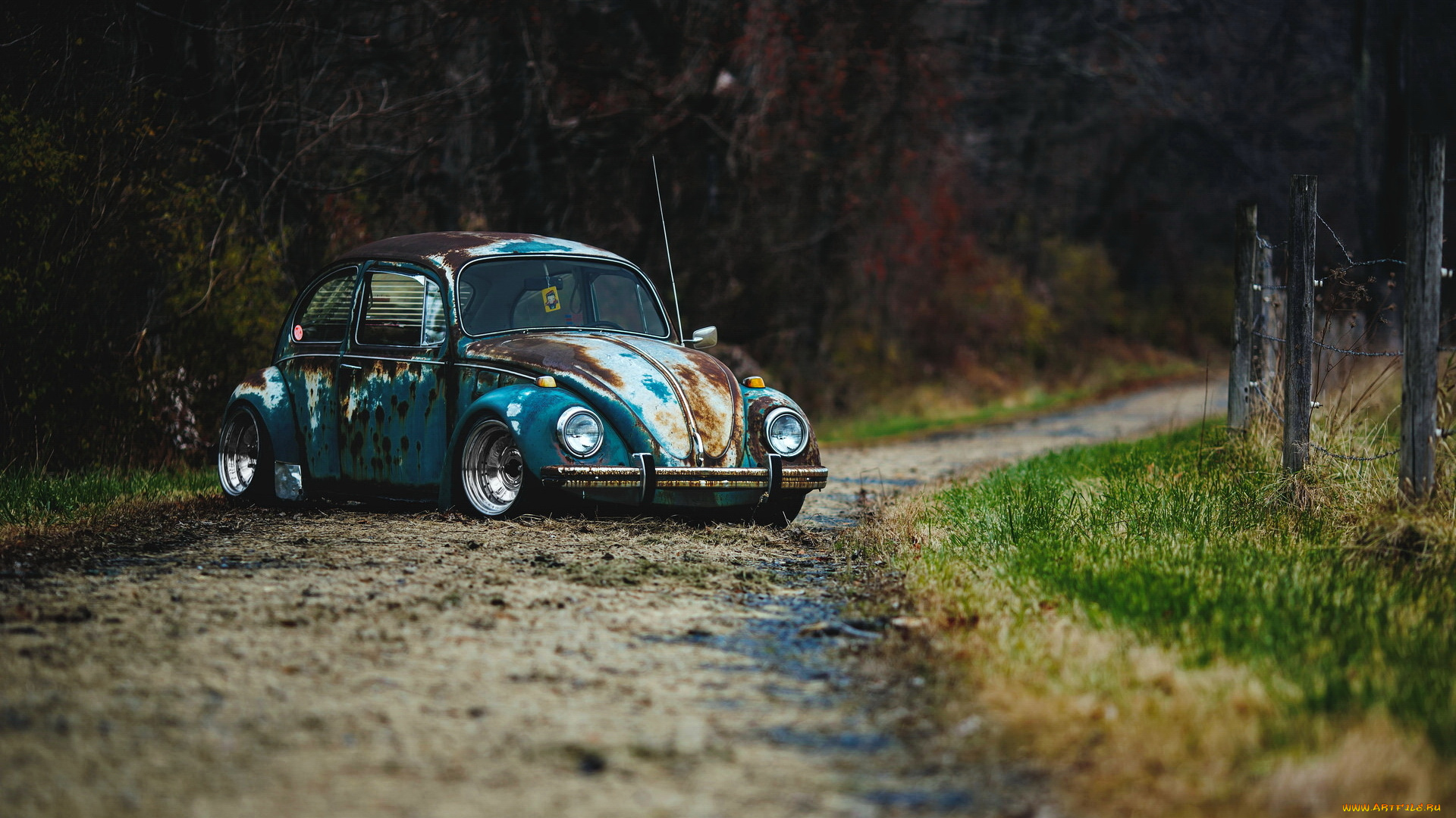 автомобили, volkswagen, vw, car, rat, rod, beetle