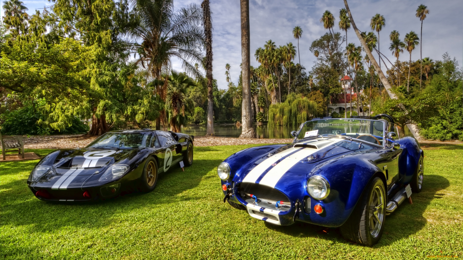 автомобили, выставки, и, уличные, фото, автошоу, выставка