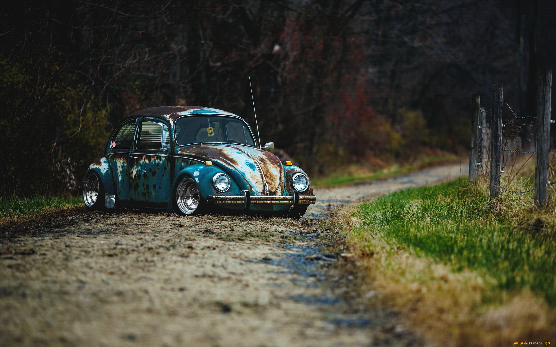 автомобили, volkswagen, vw, car, rat, rod, beetle