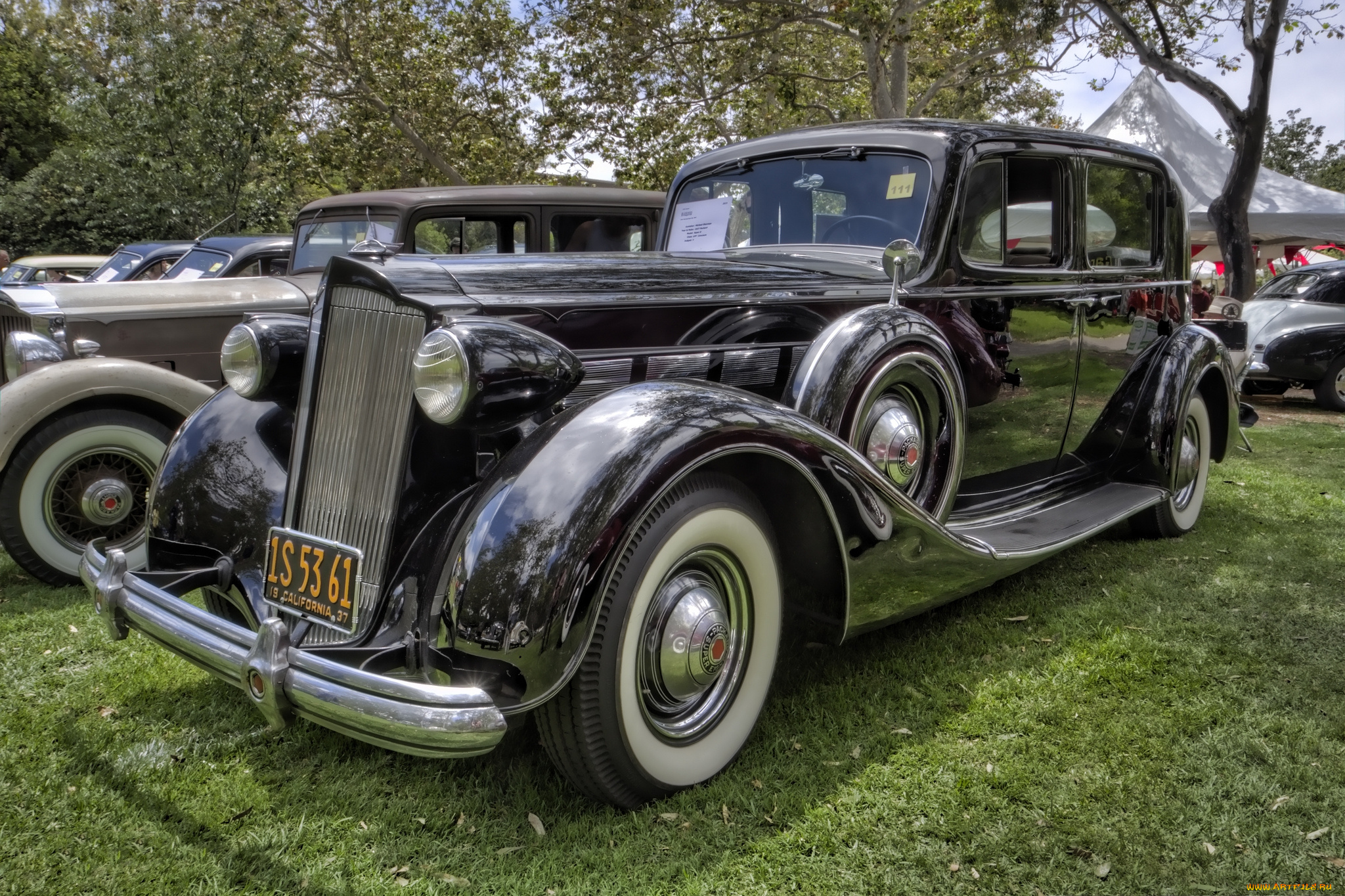 1937, packard, super, eight, автомобили, выставки, и, уличные, фото, выставка, автошоу