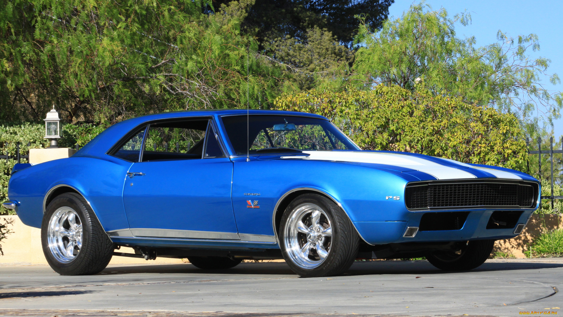 автомобили, camaro