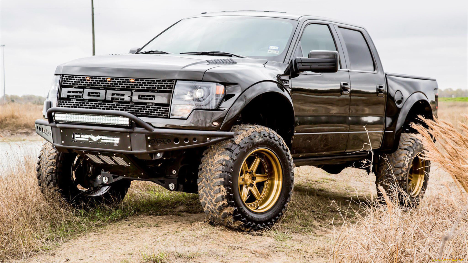 автомобили, custom, pick-up, ford