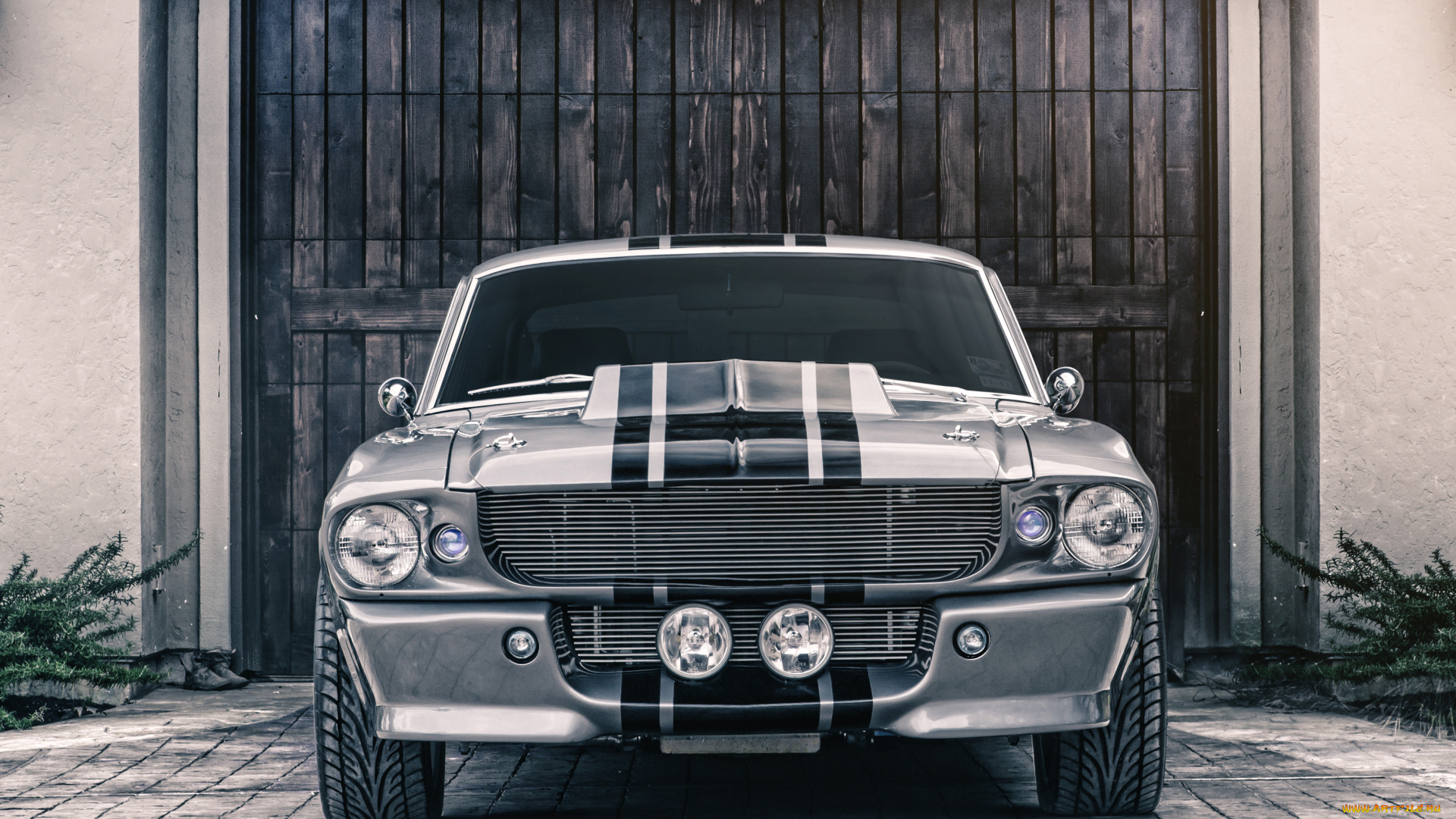 автомобили, mustang