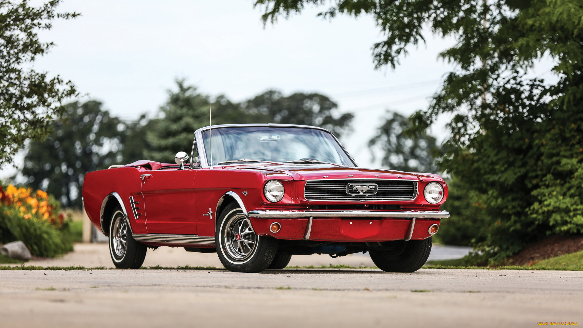 автомобили, mustang