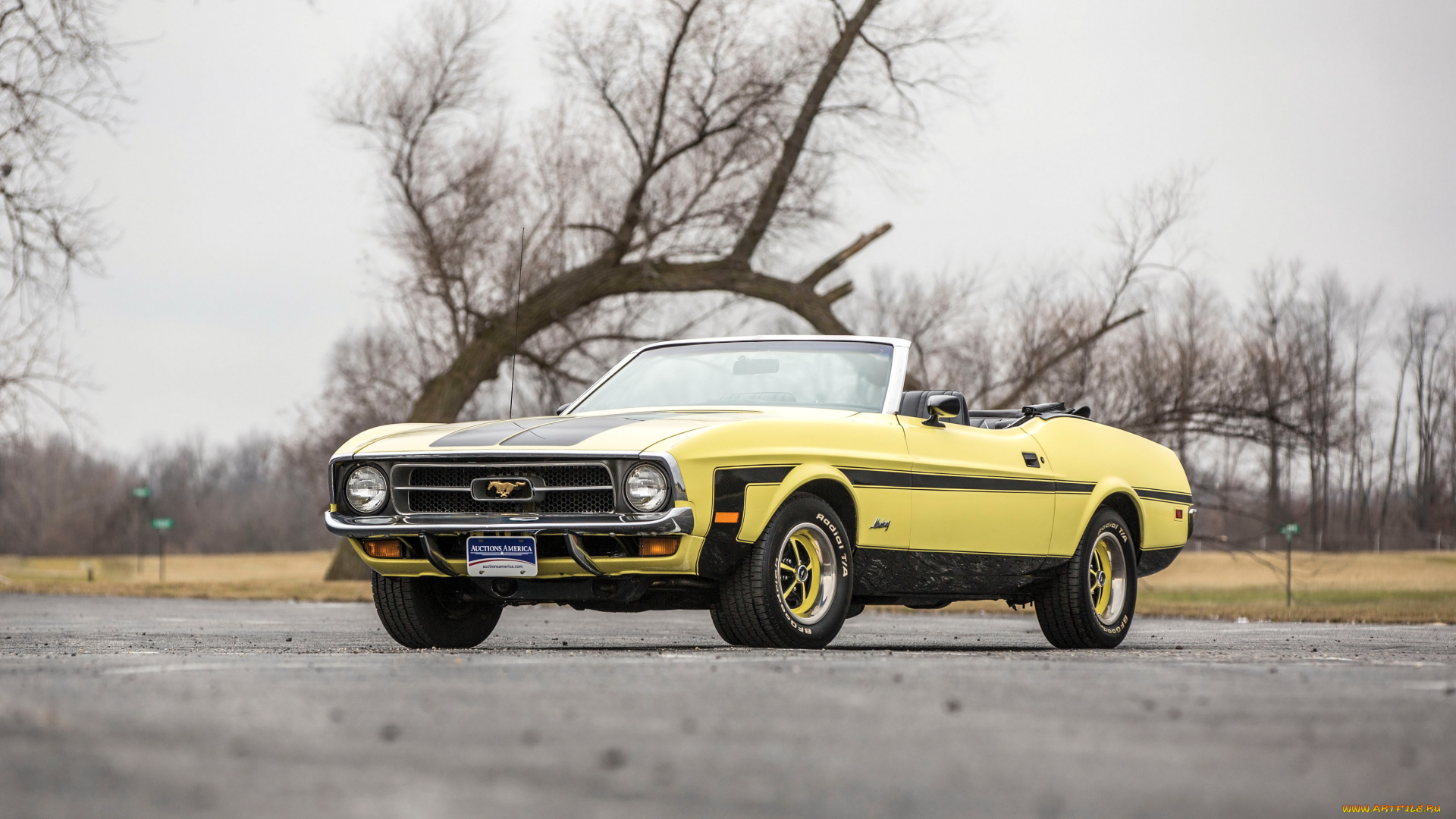 автомобили, mustang