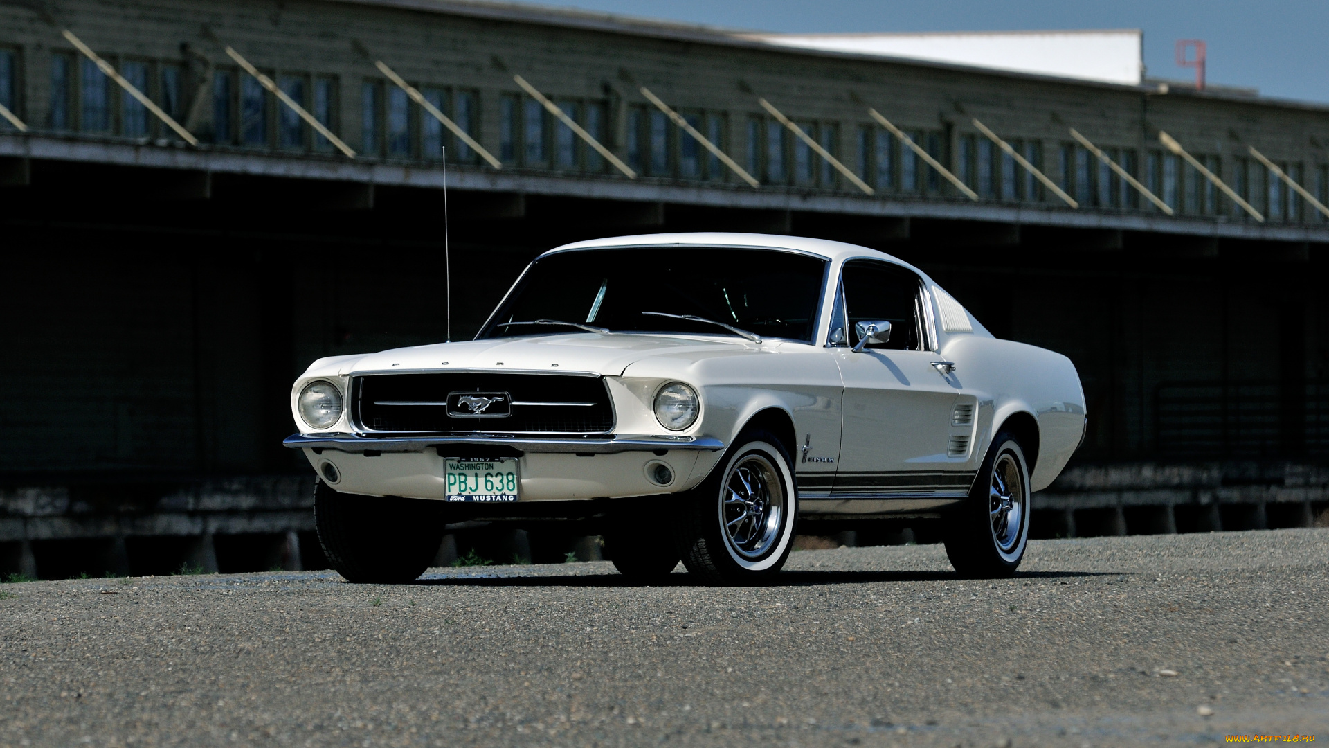 автомобили, mustang