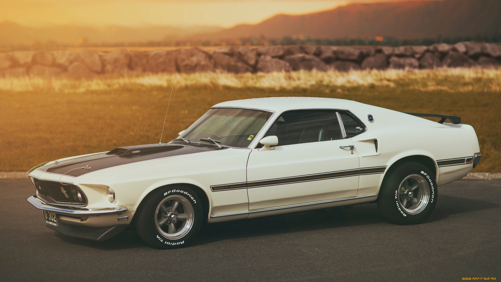 автомобили, mustang