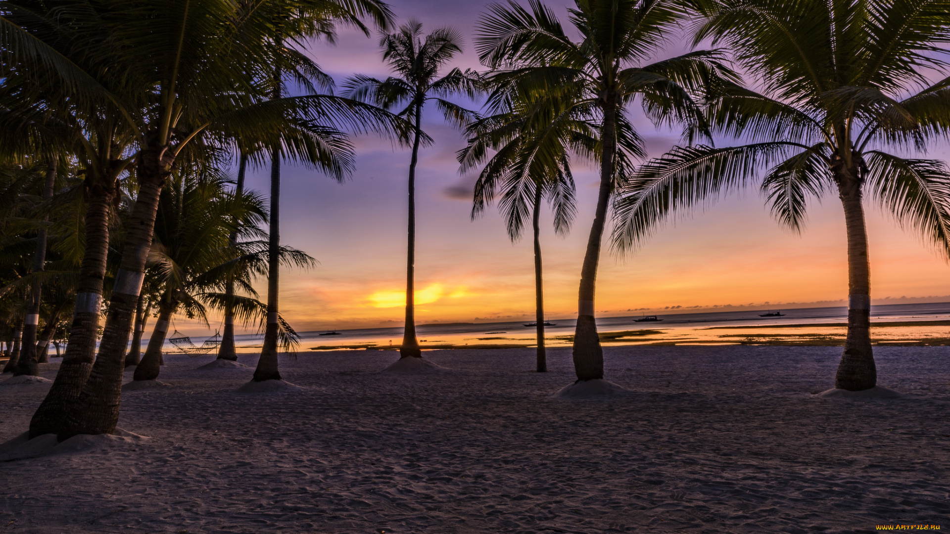 природа, тропики, рассвет