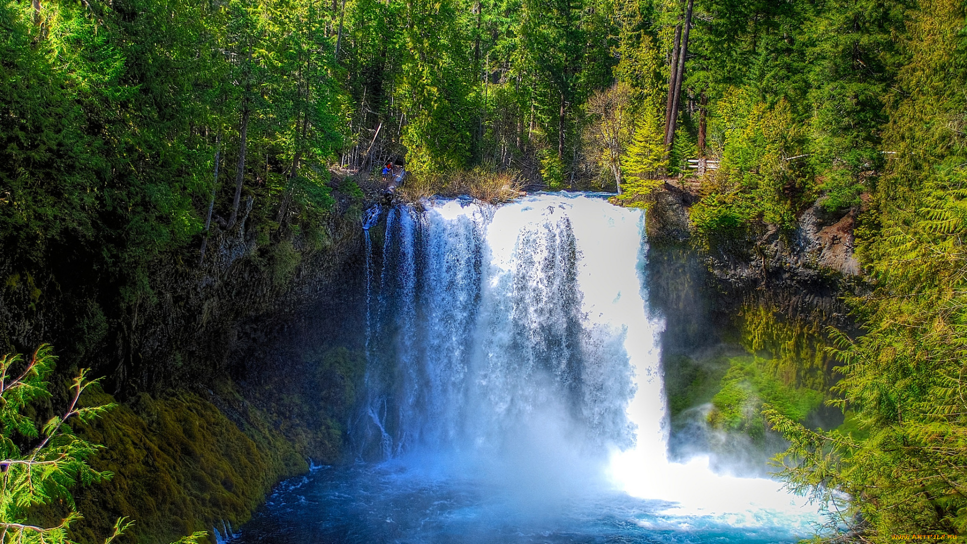 природа, водопады, водопад, река, лес