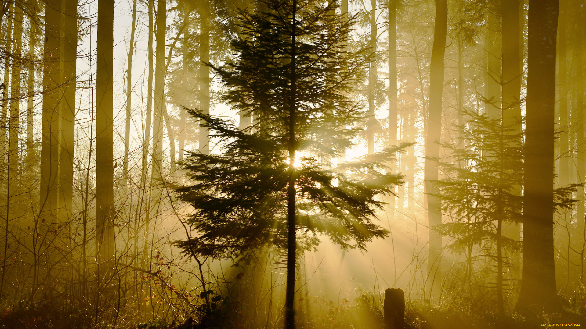 природа, восходы, закаты, рассвет