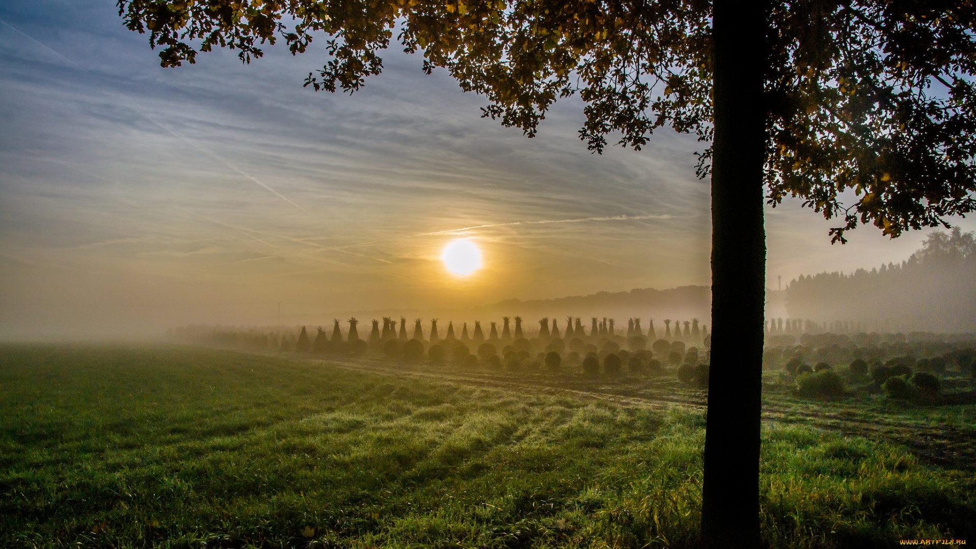 природа, восходы, закаты, рассвет